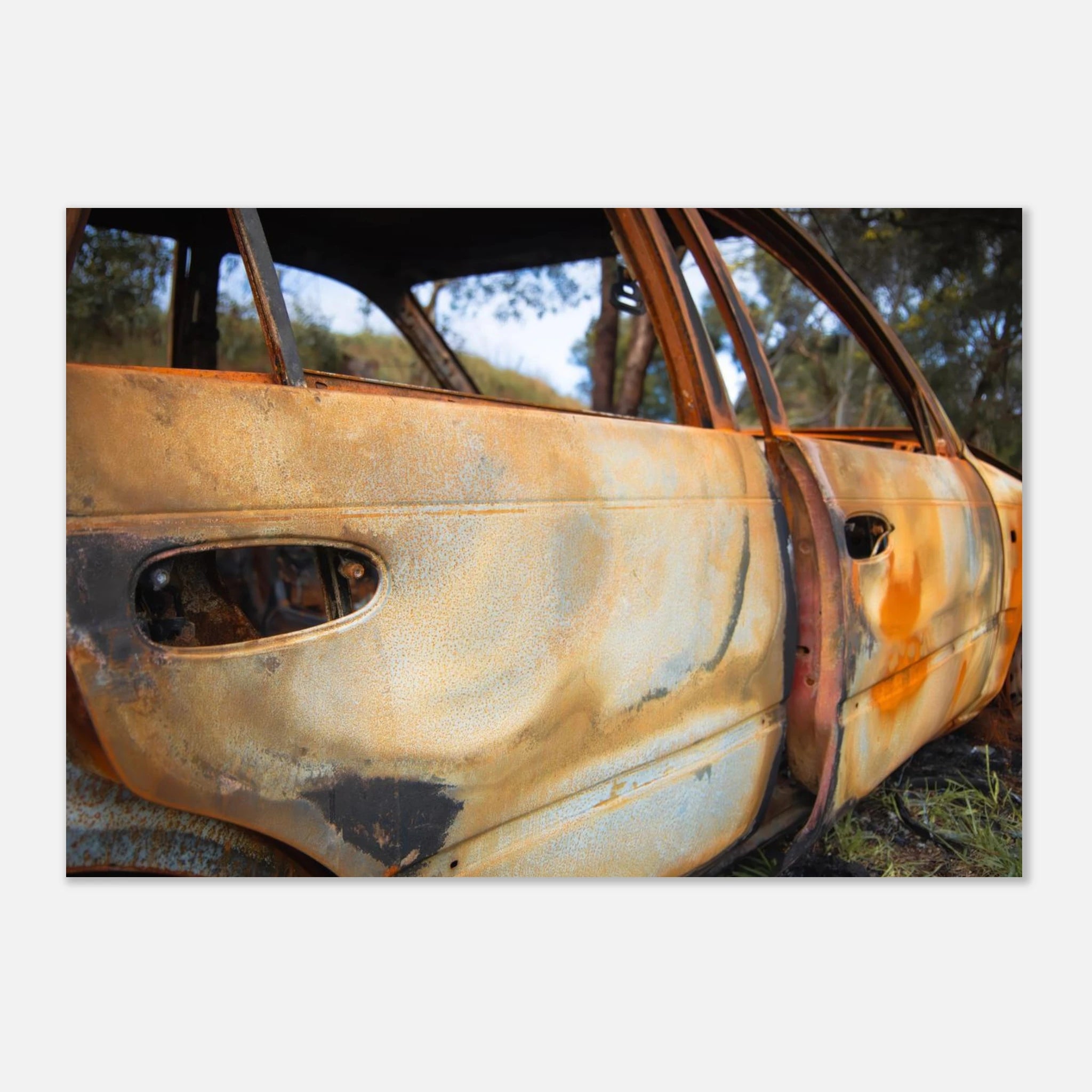 5c009c7a-daf5-4614-9b55-eff2199cf2f6