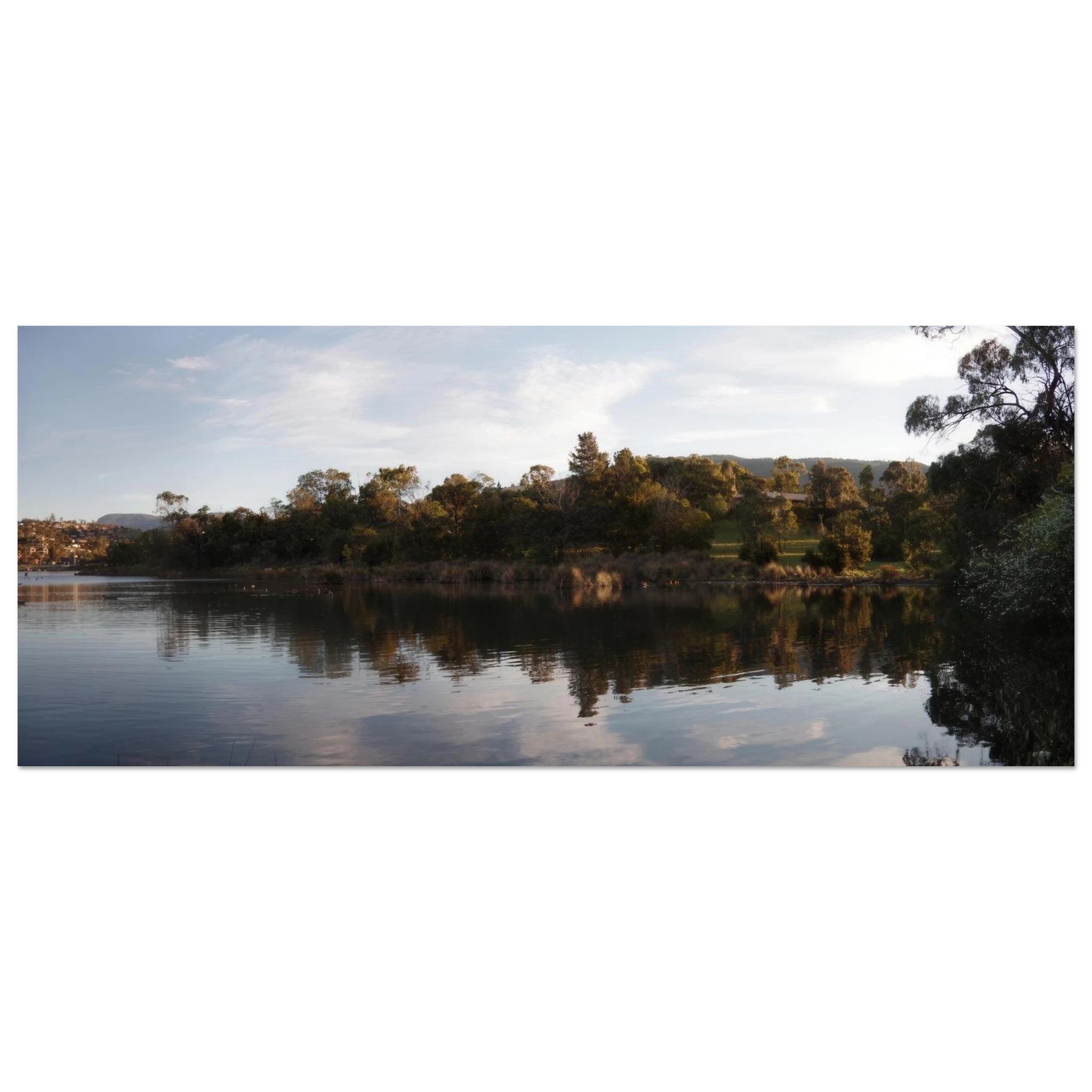 5ecea297-f6f5-458a-9e94-e555d292d329