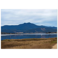 61e9c662-dda3-4b21-ad6a-8c557ae16521
