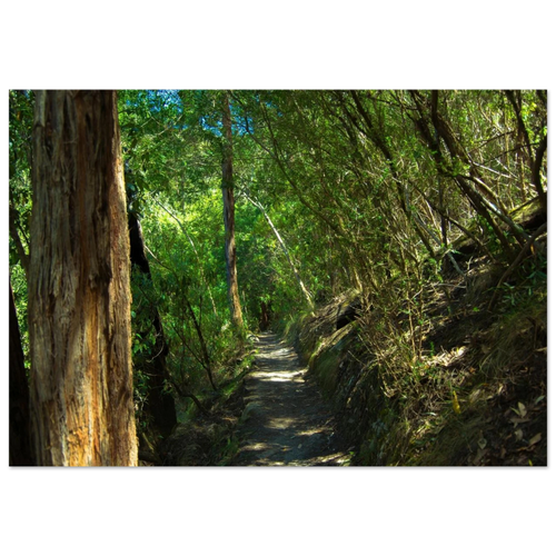 6408e024-7179-444e-860e-9d350f5ba9a6