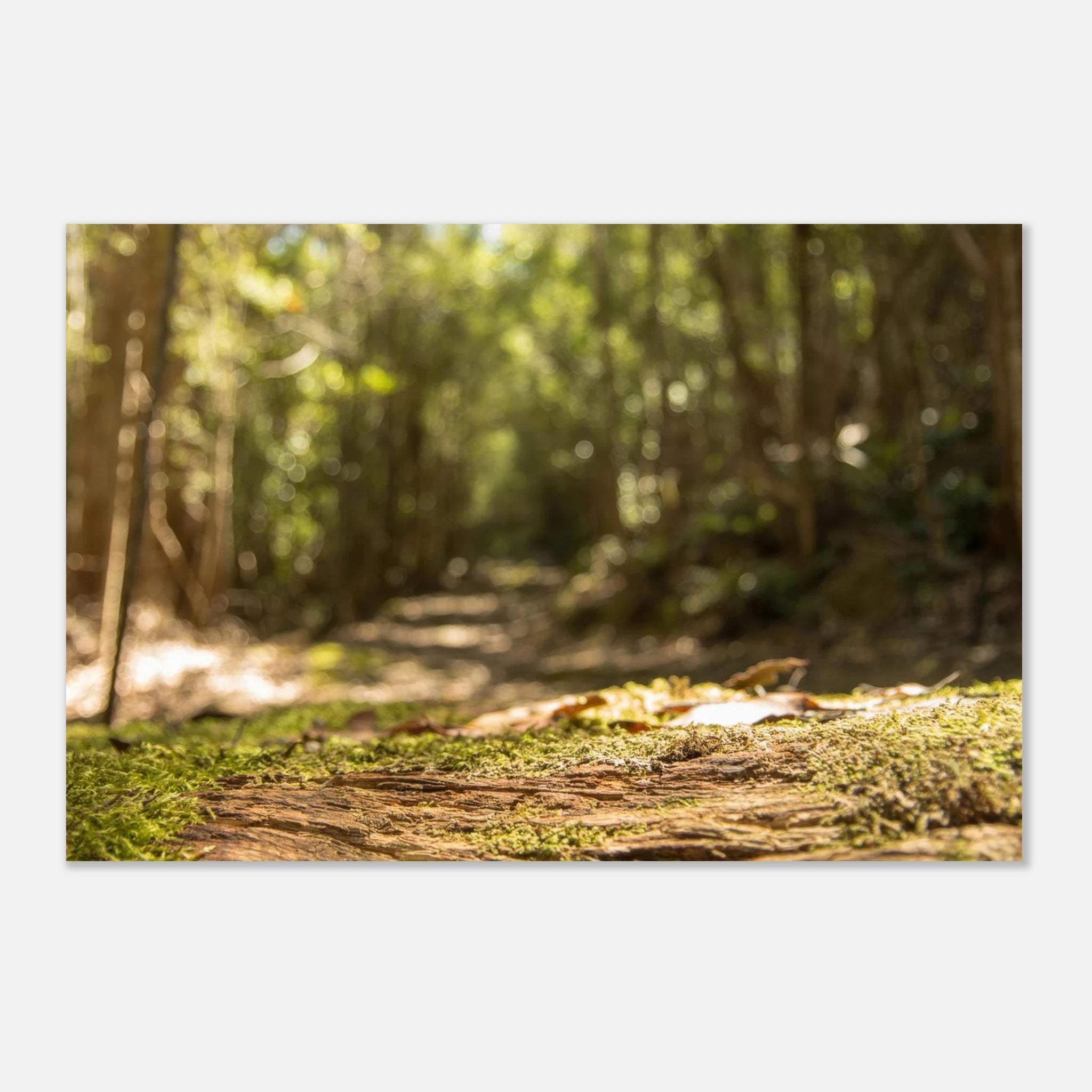 681e8e5f-7906-4c82-b145-a73c19e21960