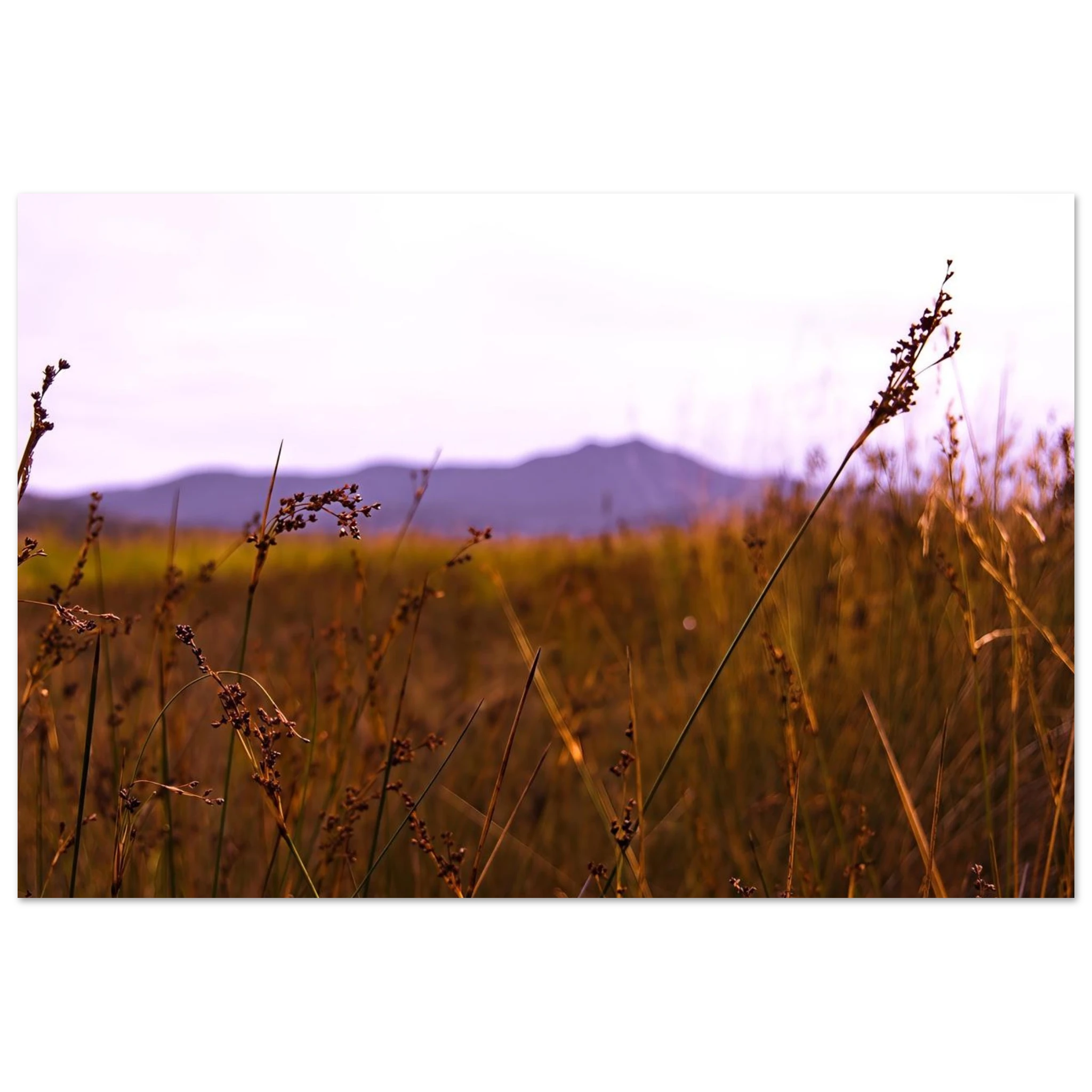 6b4f966a-ec60-470f-9158-2fdf4b1ec7b0