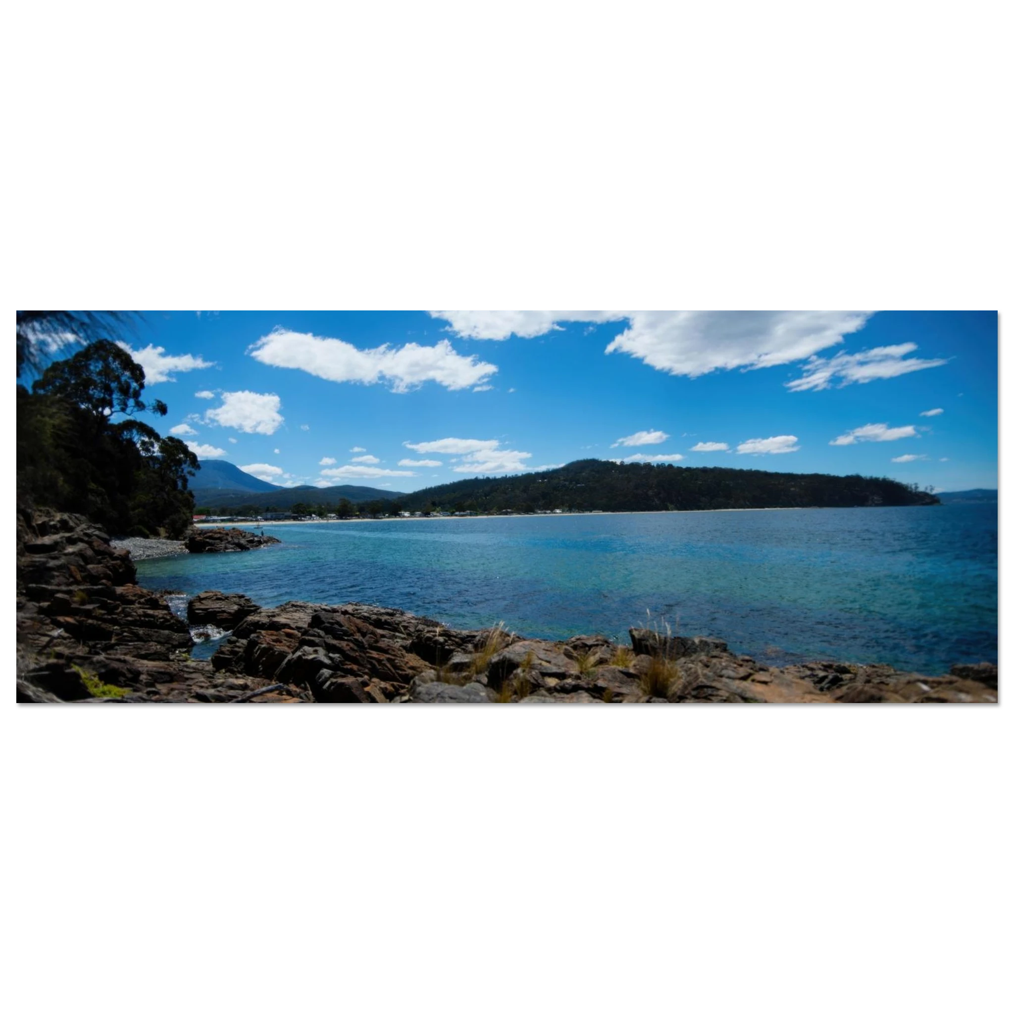 6db0310f-7ee3-4034-a91f-205af5da3685