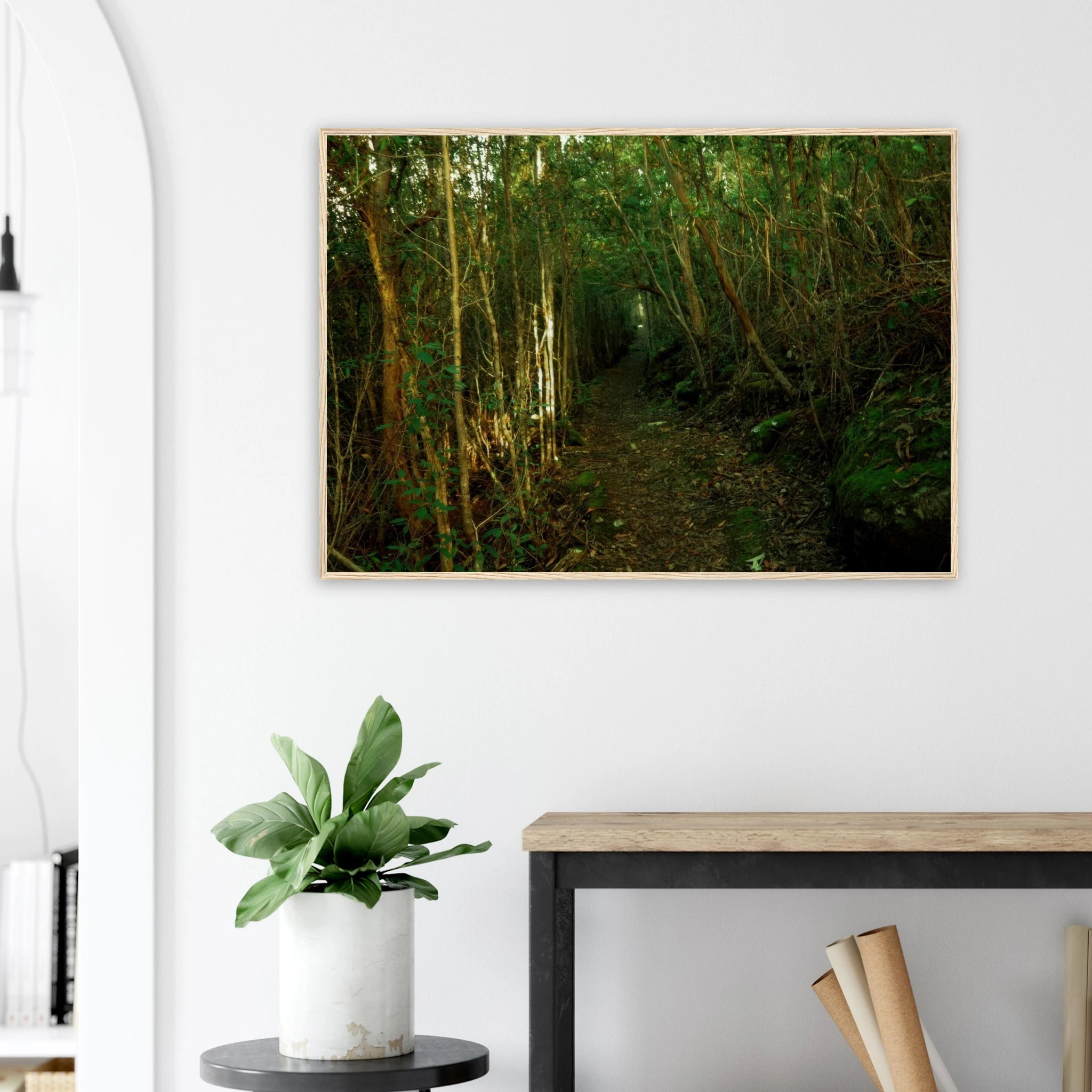 6e39d69b-886b-4132-a424-60604670cc12