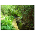 6f7db68a-1951-411c-b9e3-2cd39493c556