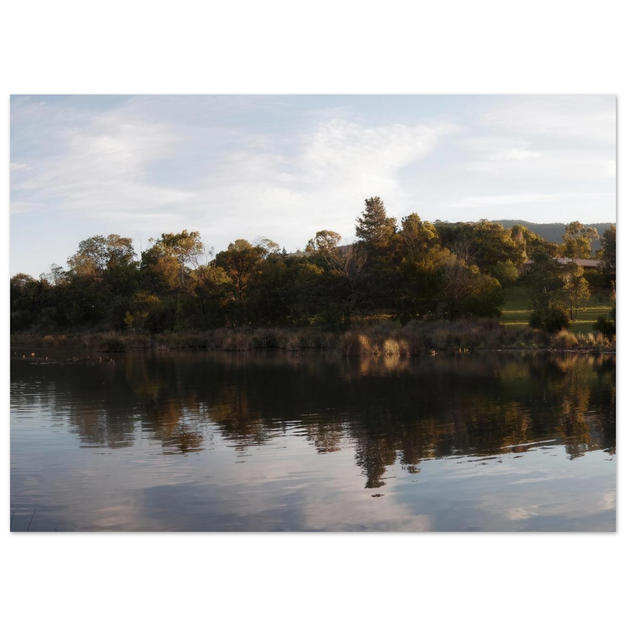 71edbd9a-0924-4490-8a4f-6b60e7aab94c