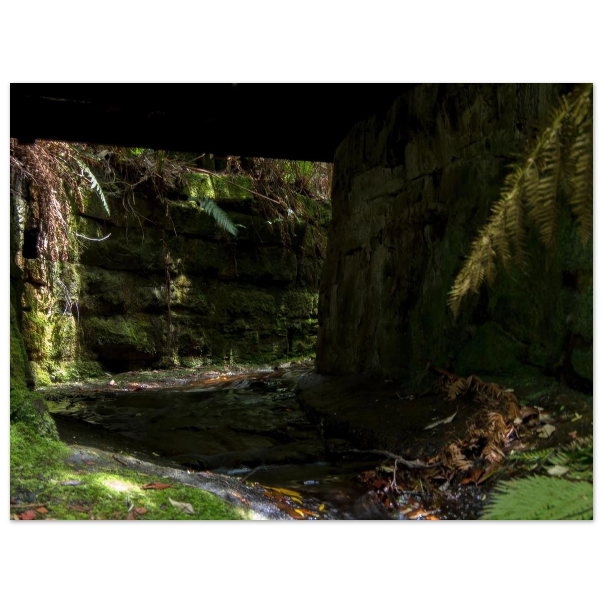 72af34f1-2273-45fd-9072-e90dad3b135b