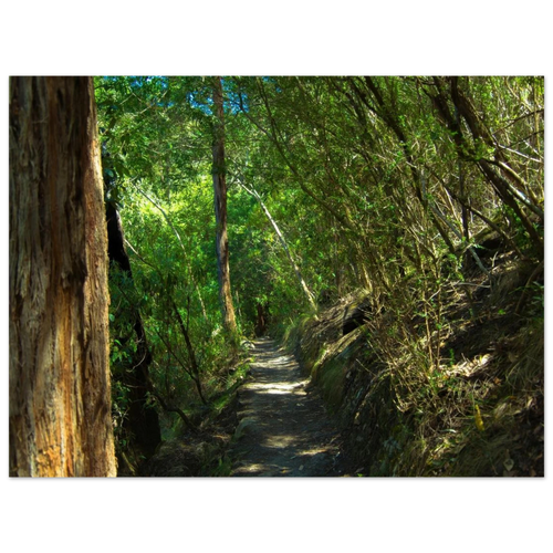 743cd19c-e49d-40e7-accd-ae43f56b9263