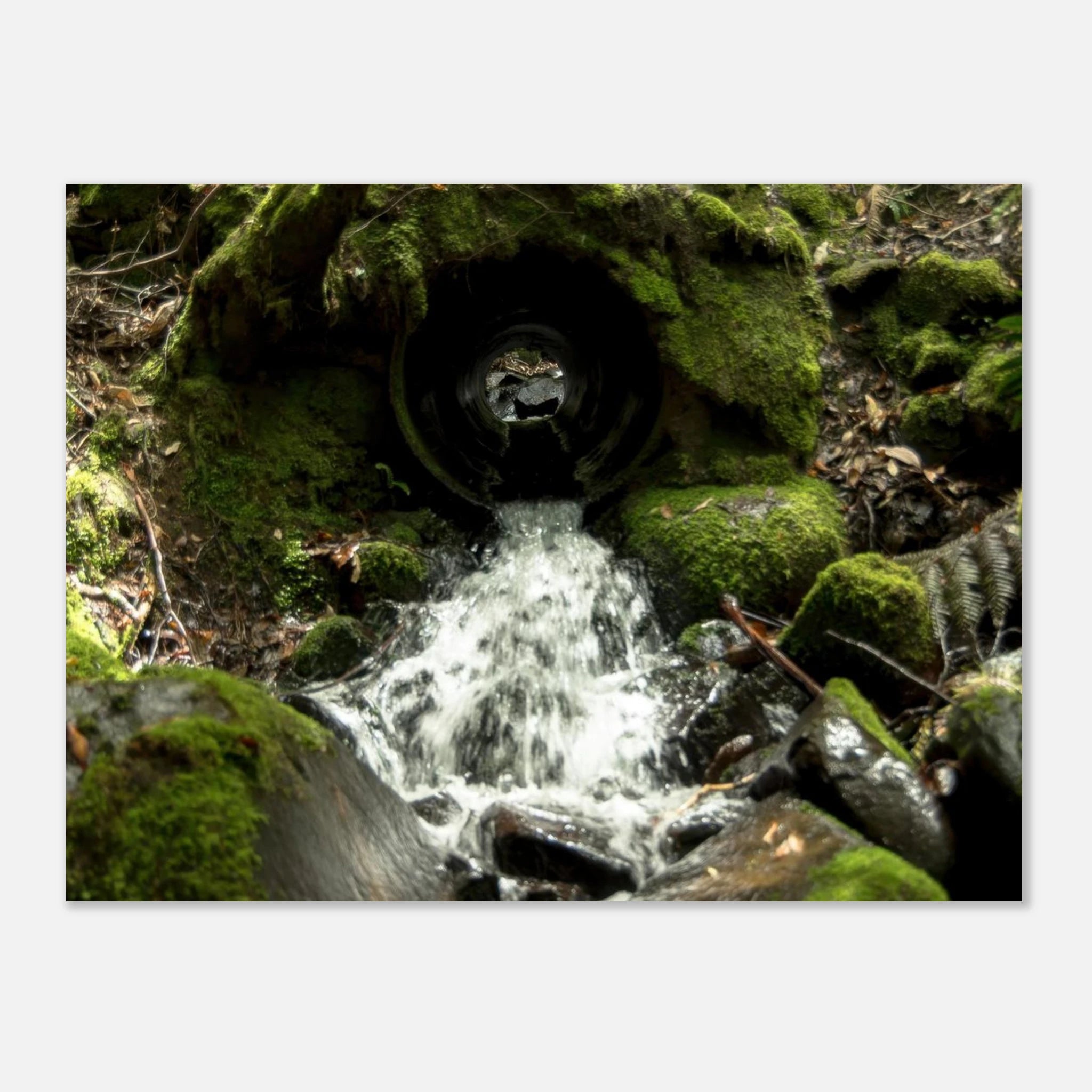 773be398-1d33-4dae-87a0-b60f02cfa1e8