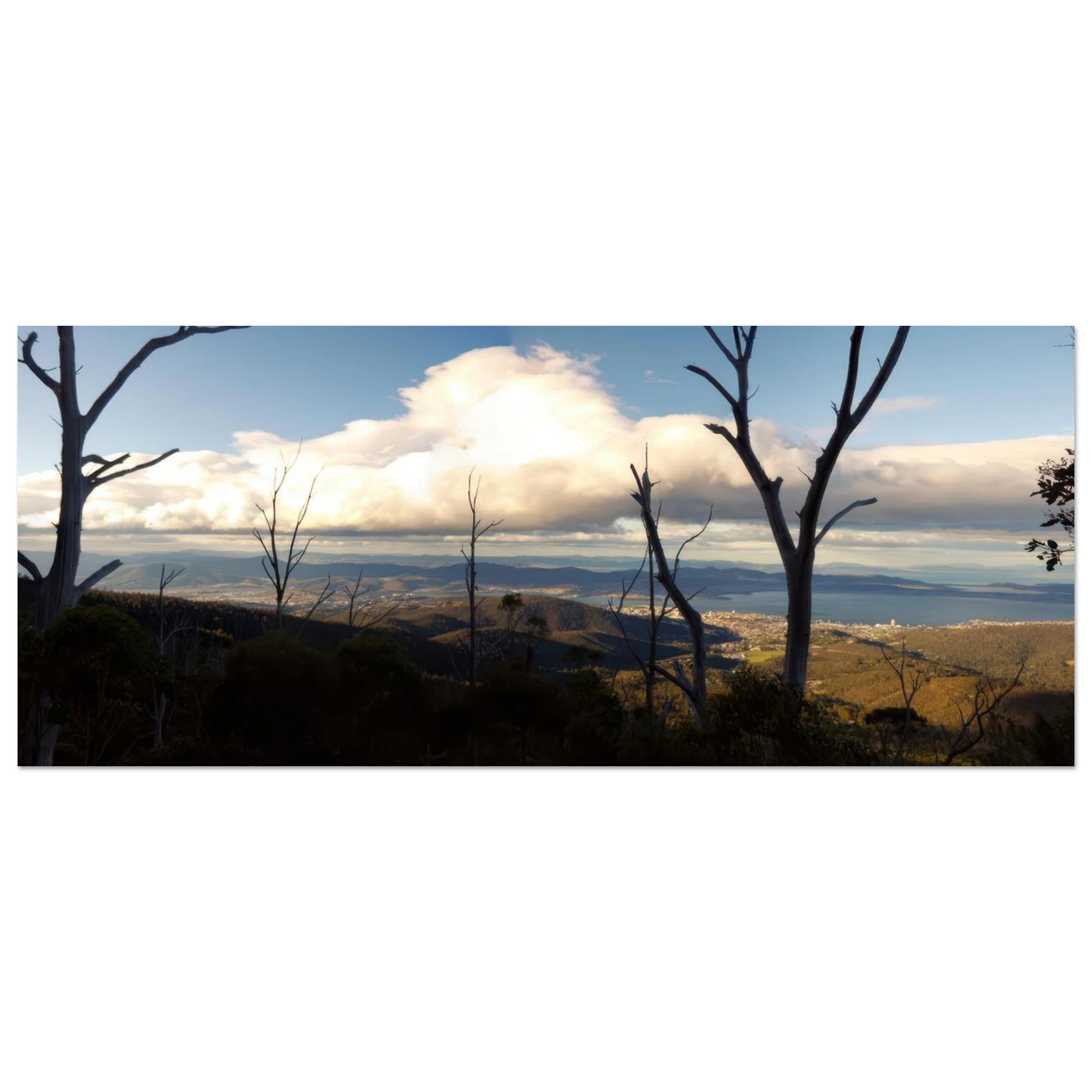 775d0083-8ab5-432d-864f-83abeace4f01