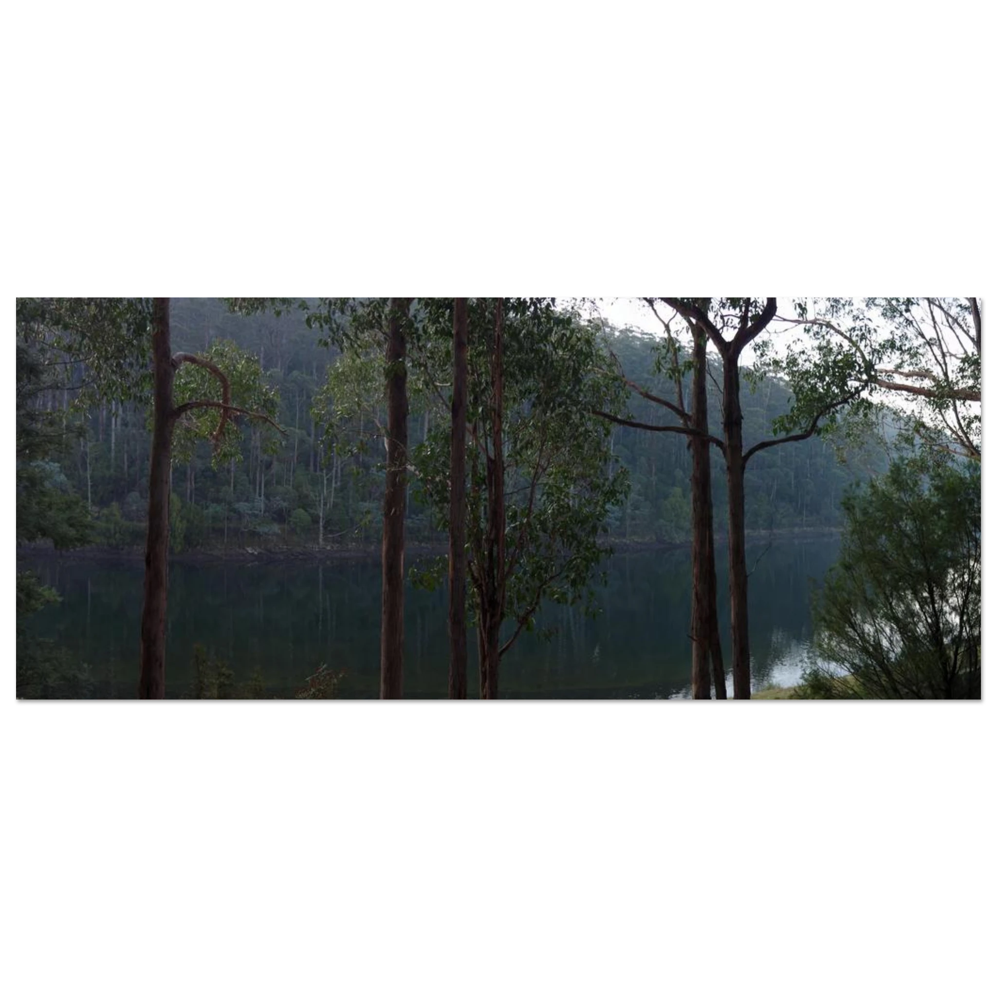 77d54058-946f-40d3-8d5e-bdea9b2ac623