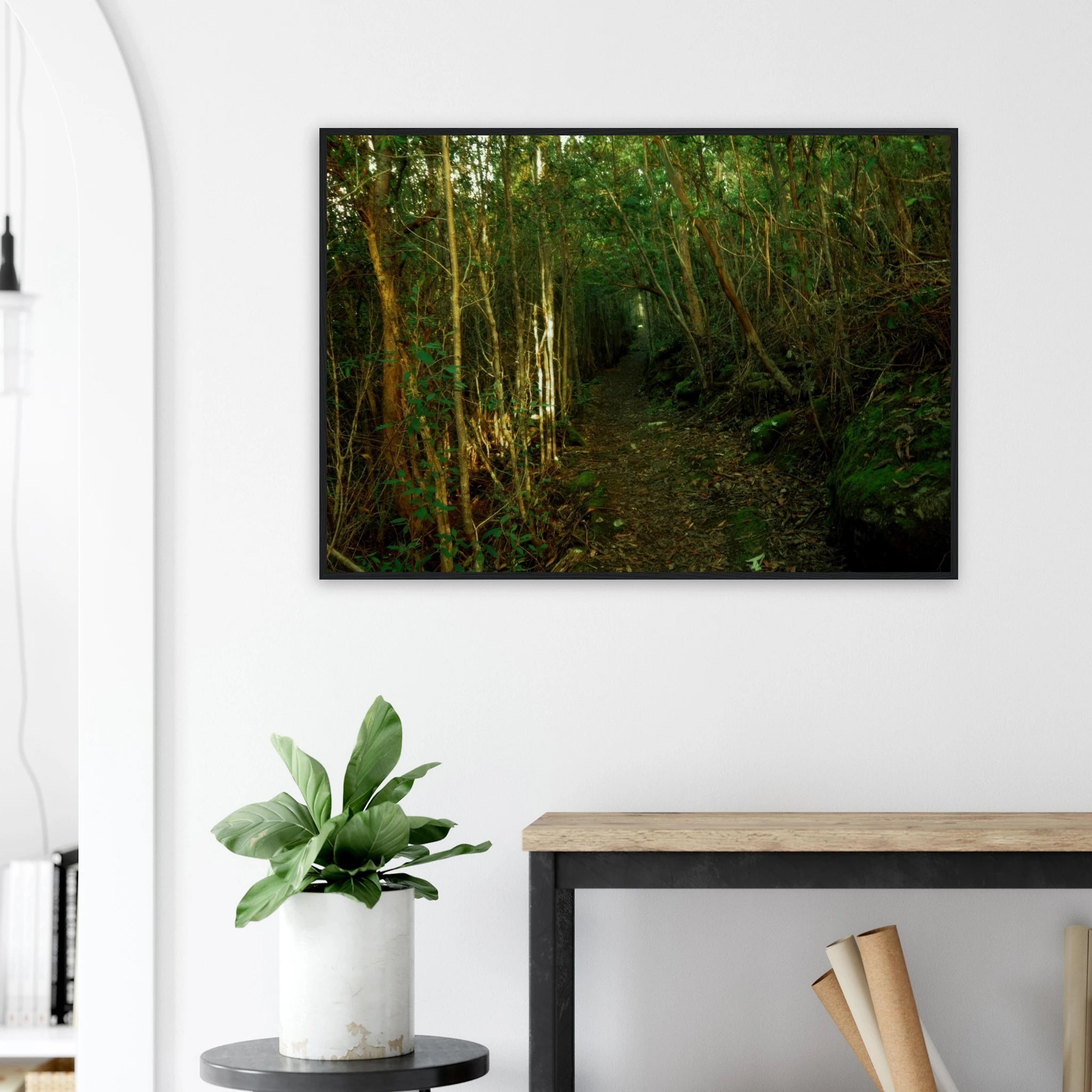 7b8d4fbf-4bb9-43a7-bd96-7eaa2fa1f4d1