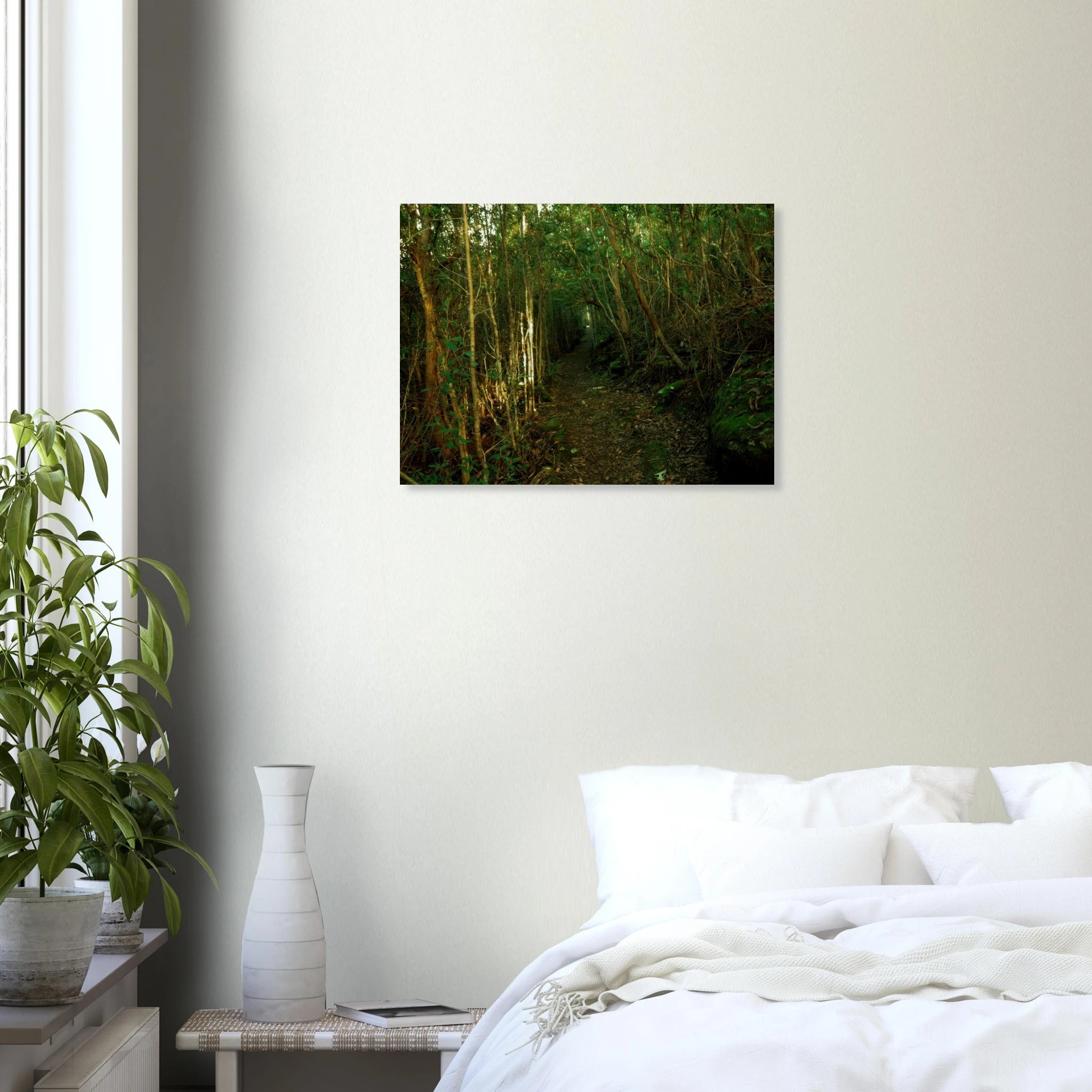 7d008a2e-8dfc-4a90-904c-4c8243aed138