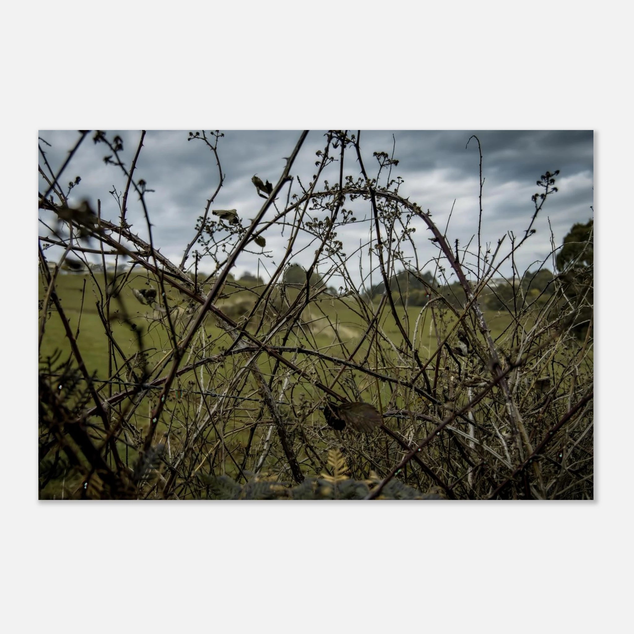 7f0de513-624e-4a2d-8dce-a926760c8577