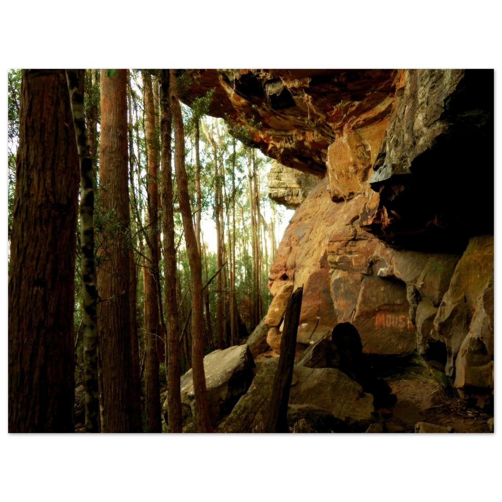 81827ce9-f093-42d4-aa51-e220f44f8250