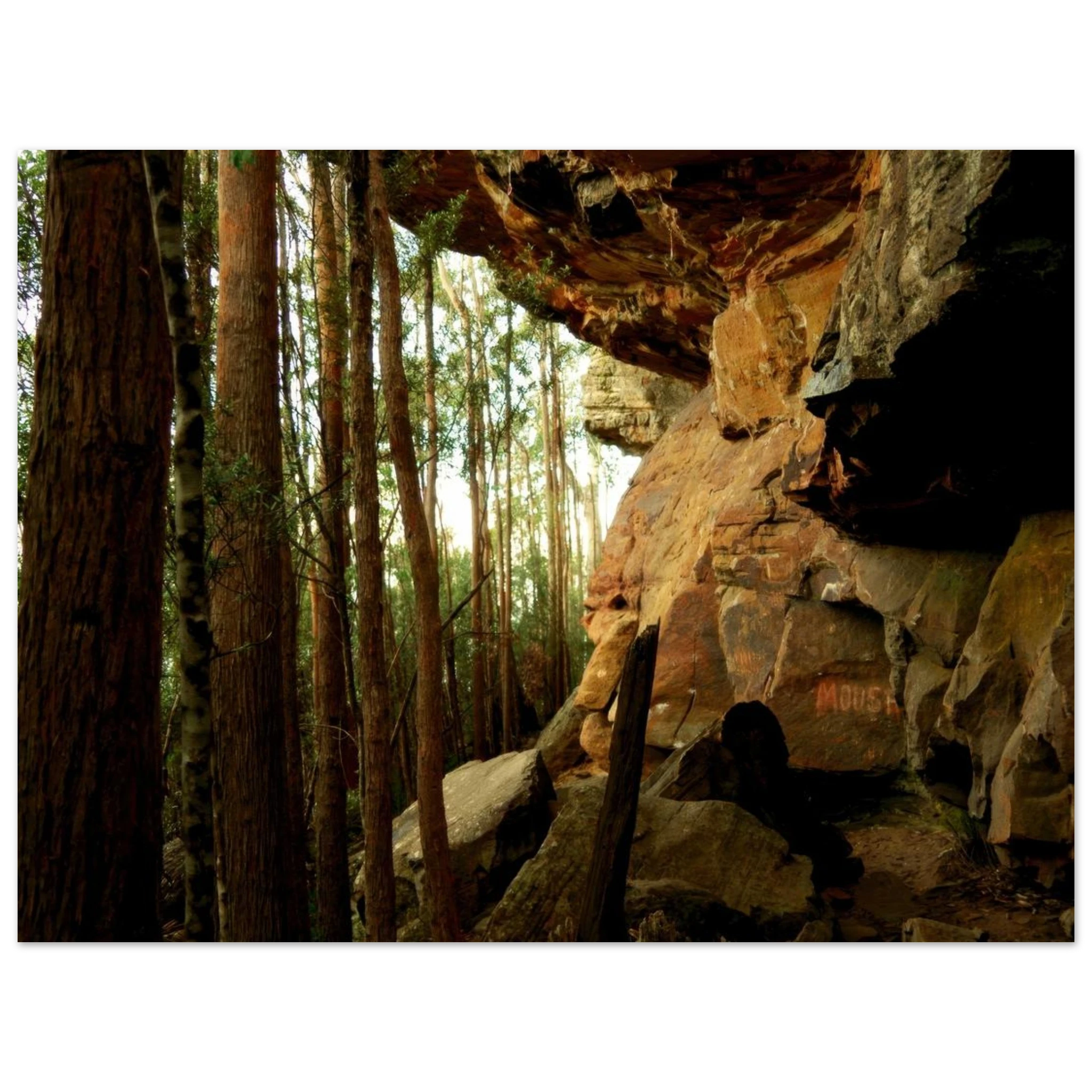 81827ce9-f093-42d4-aa51-e220f44f8250