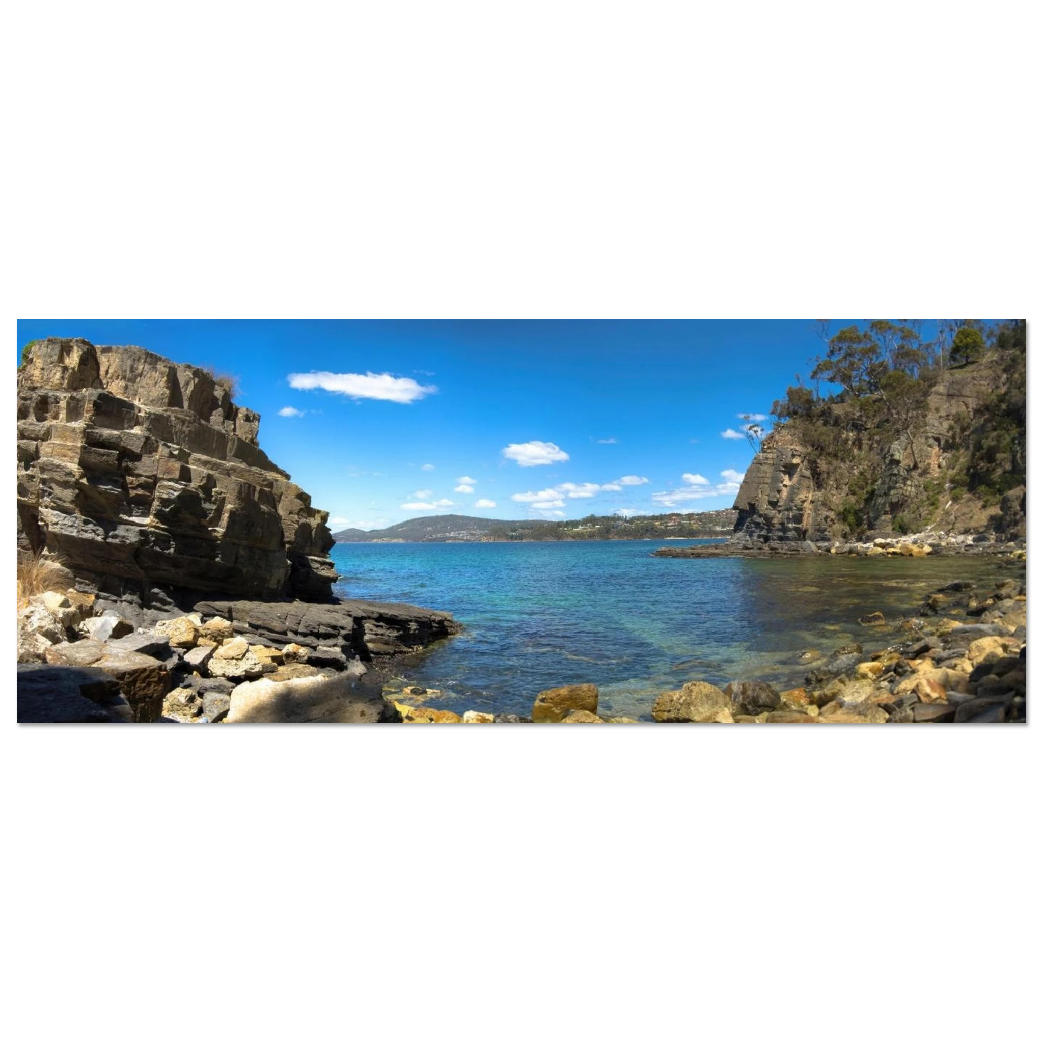 81f5f62c-5777-4590-8396-c25127acc0fc