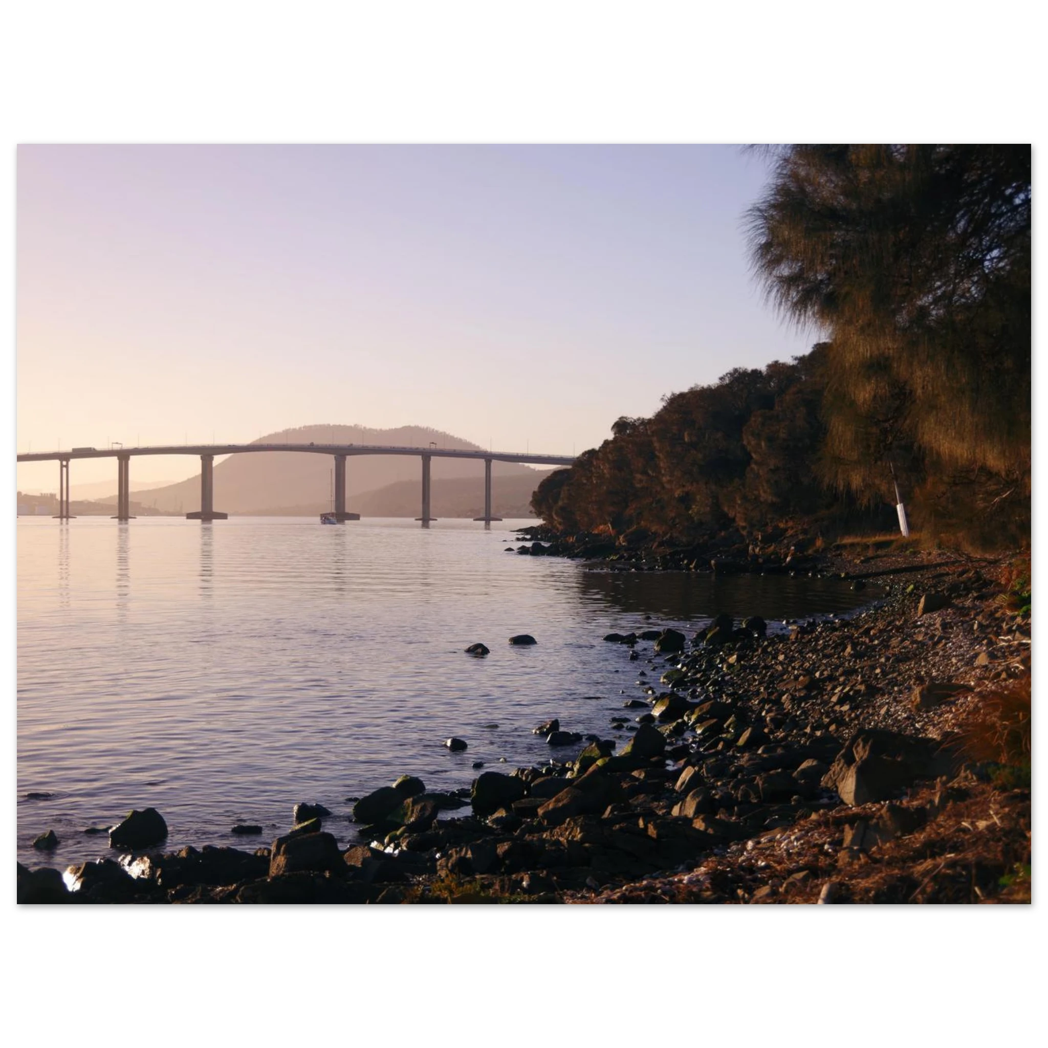 82386117-05dd-426e-a518-b818beabc16f