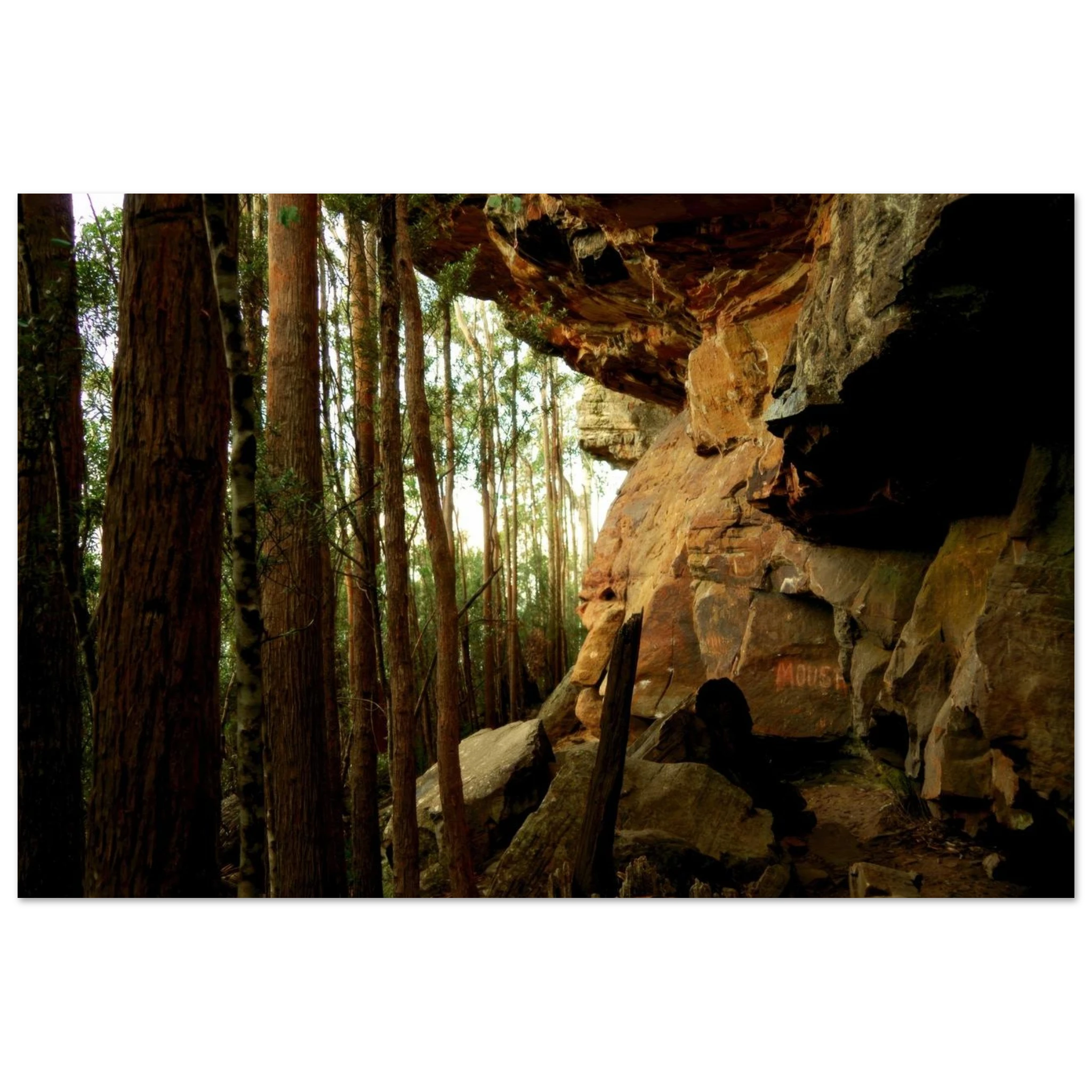 82f0cb79-1ea0-4fb1-b23d-71db690142e4