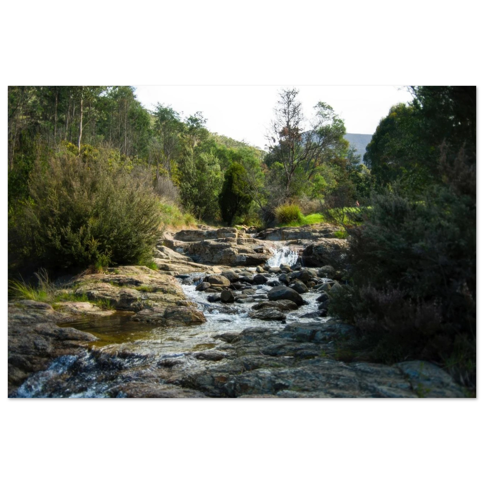 832a859d-195b-4164-b78d-16a46ab03b83