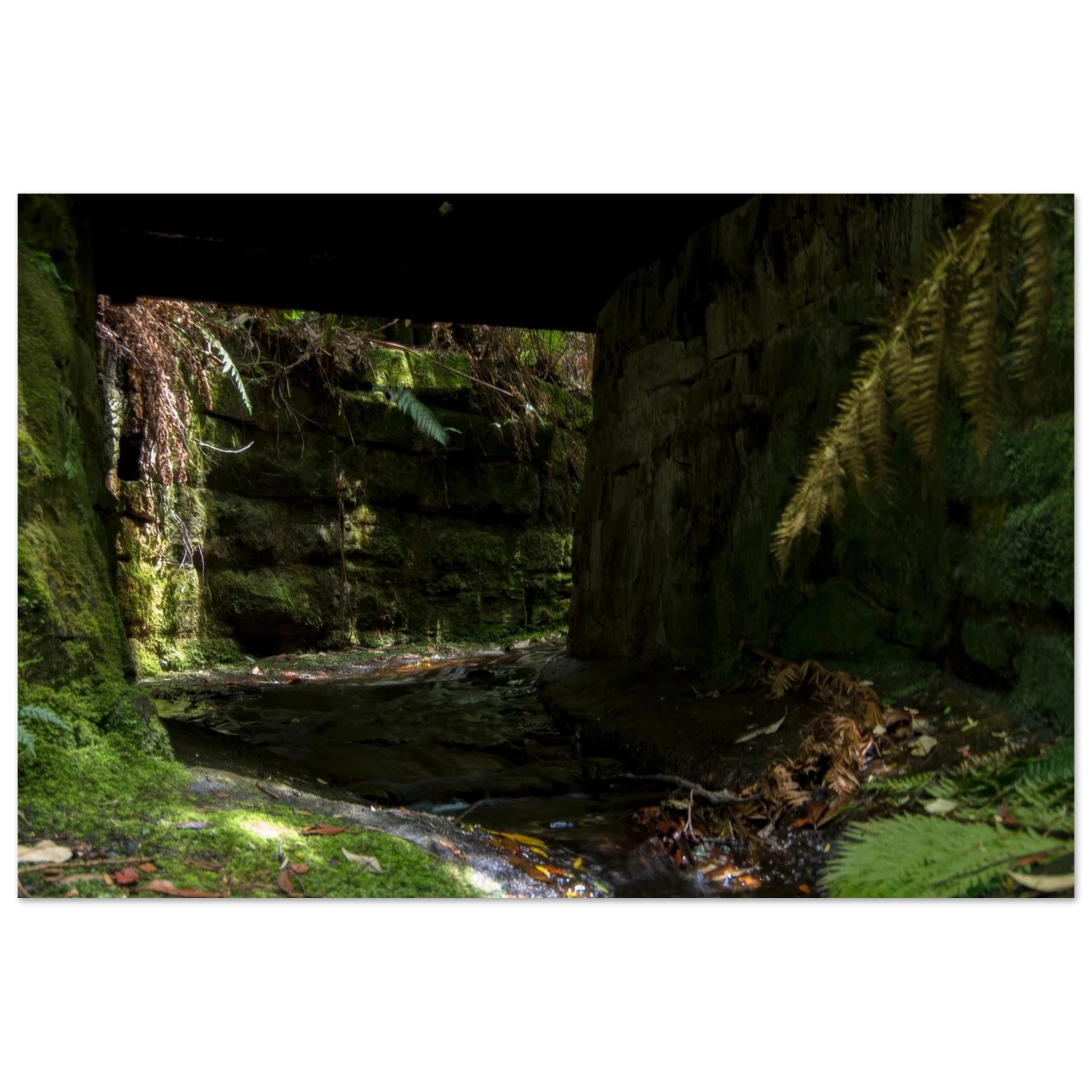 854b9fae-d690-4ba5-a801-027dce8b7f27