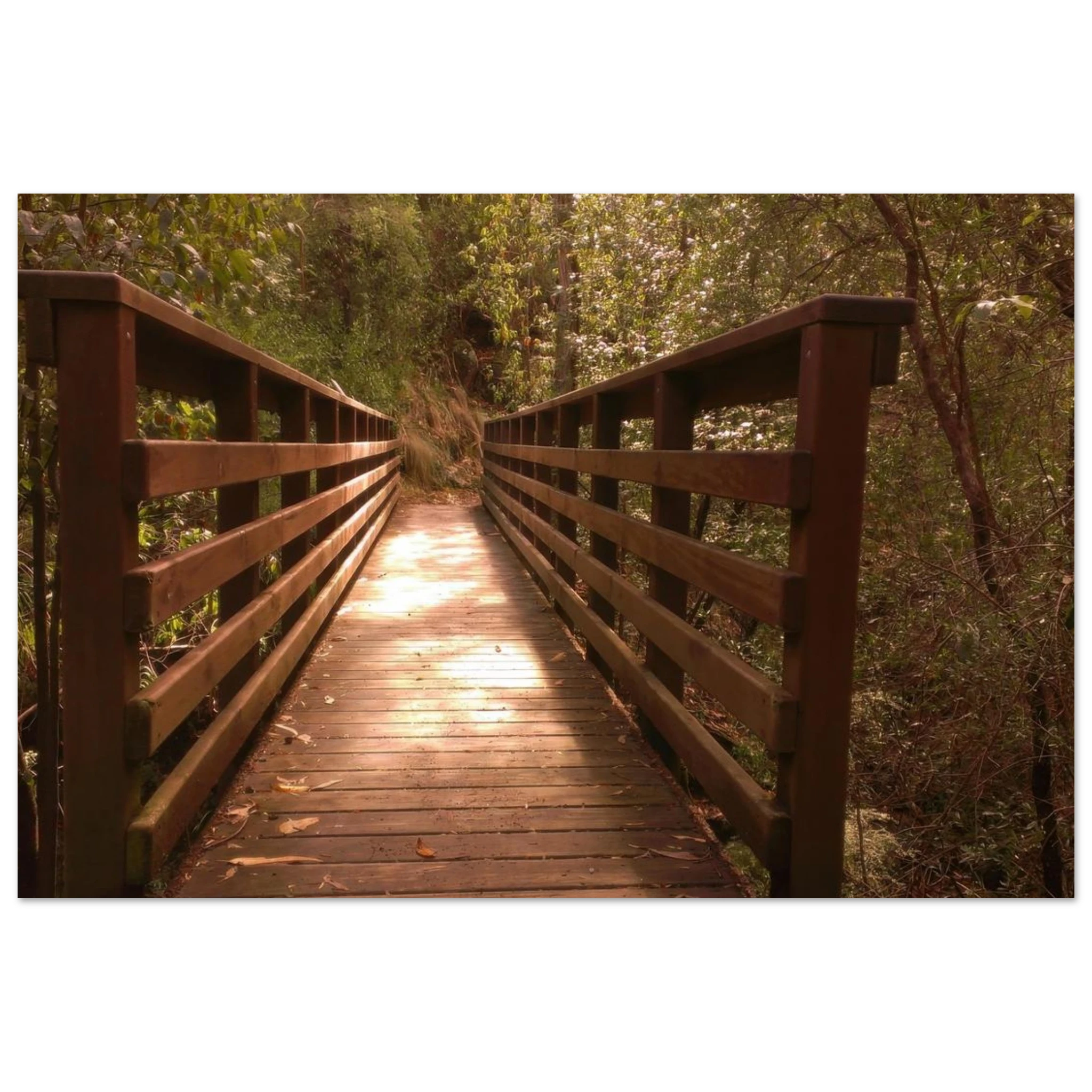 894fbff1-4572-43e7-878a-8ea3f72ba3d4