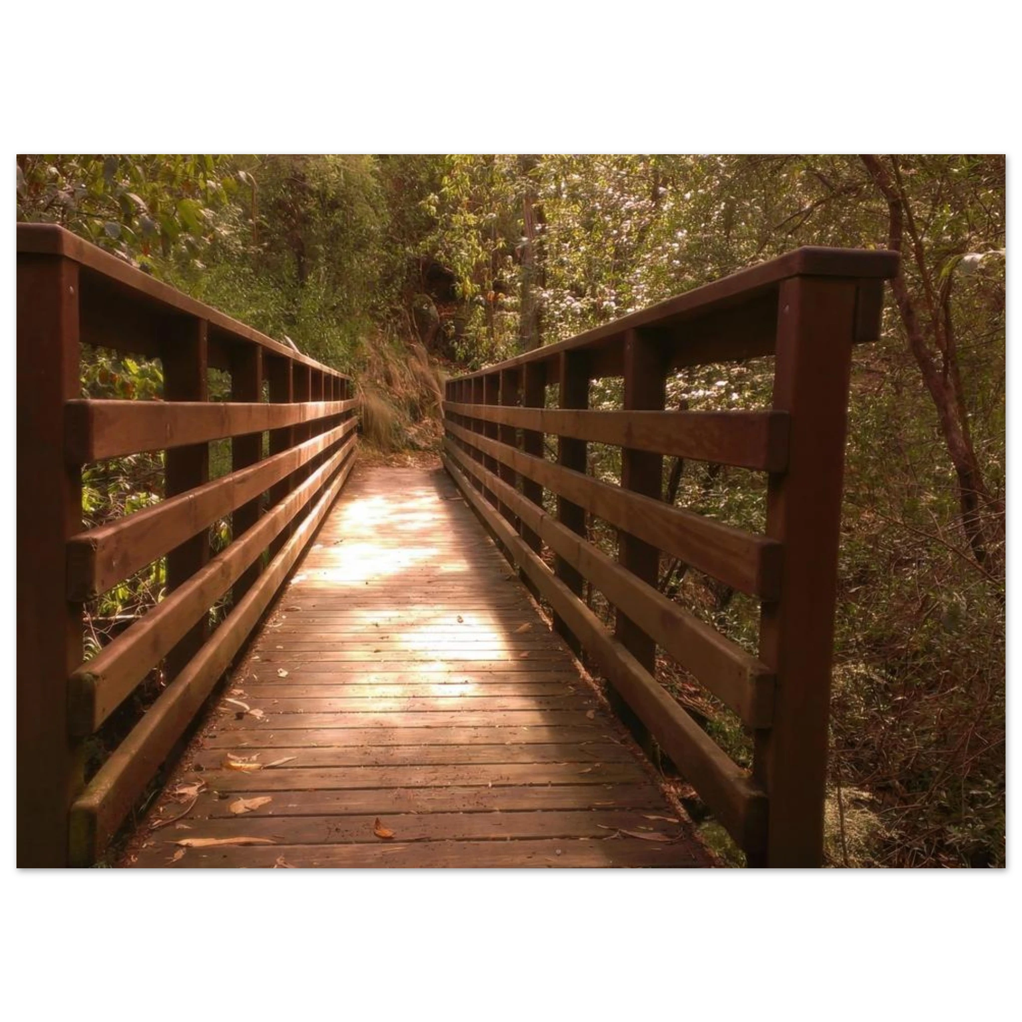 8b854c73-693a-49d1-b67c-9dd60f83b663