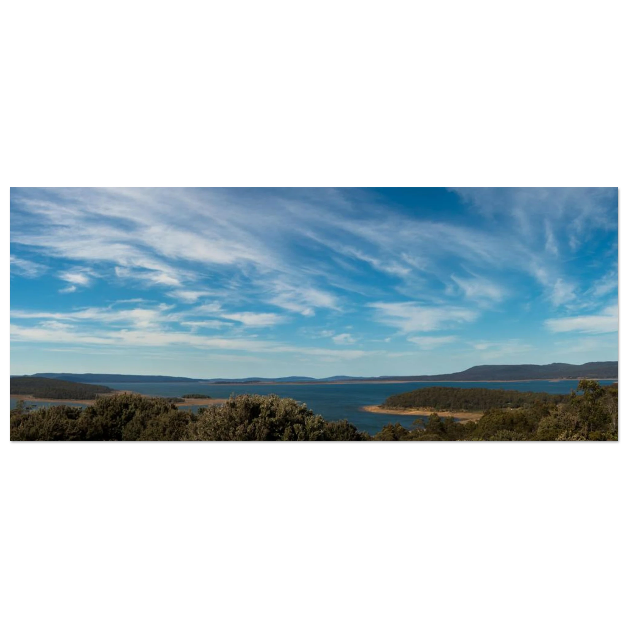 8bc9e9b0-78da-494a-bd75-5baaf1cb086a