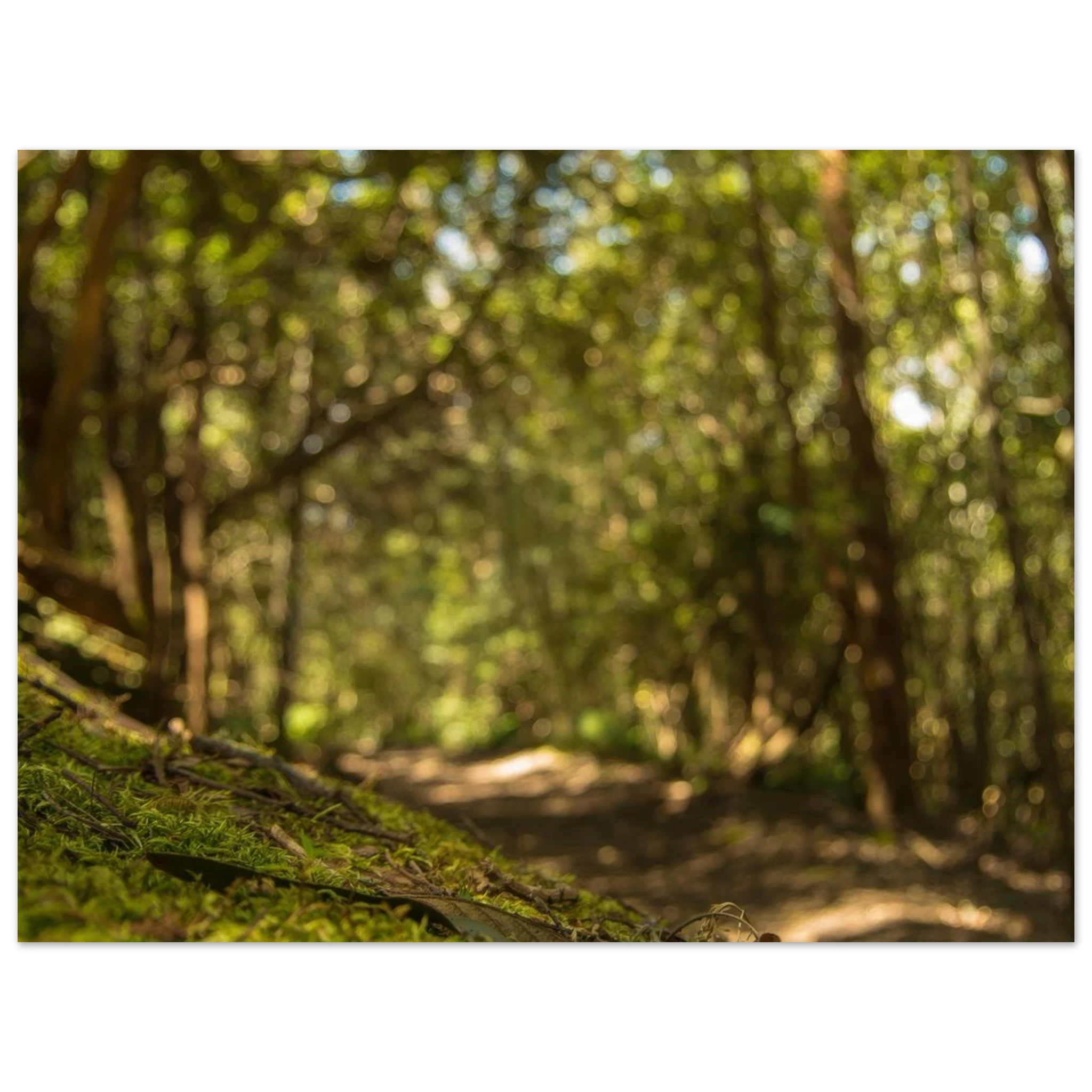 92e7a371-fd34-403a-a4bc-967597855c8e