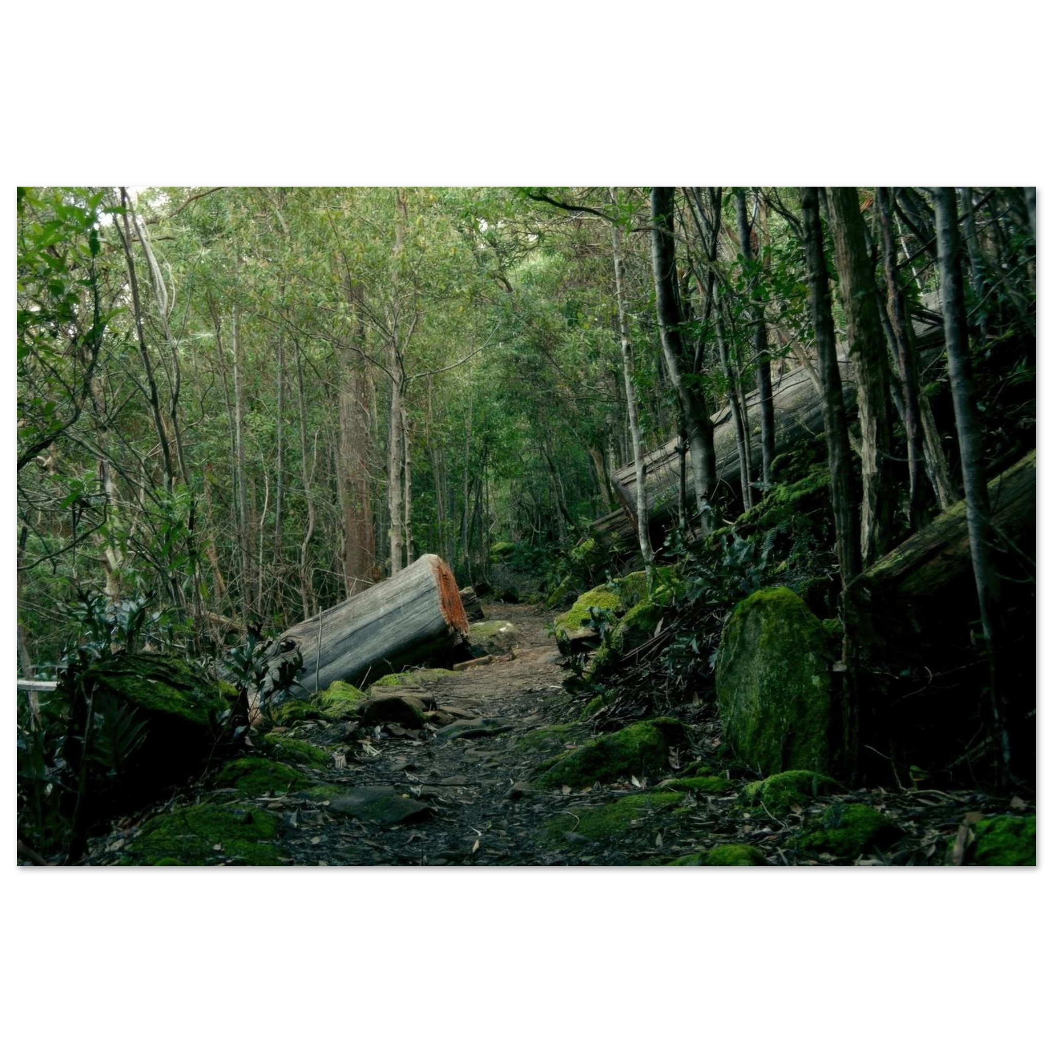 9525df82-8afe-47b4-84fa-0d4da53a38c6