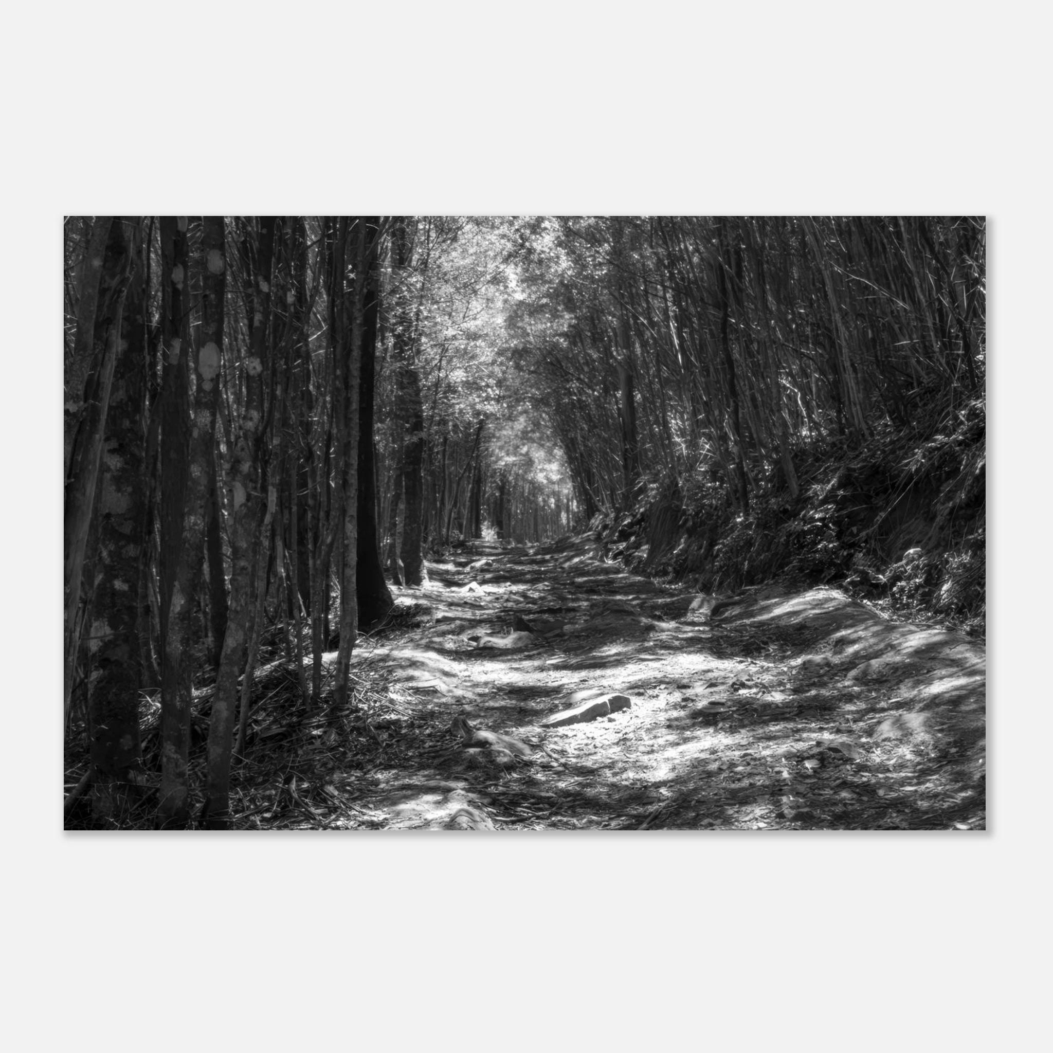 95766fb0-f986-40ff-8485-d9cfc6ccd210