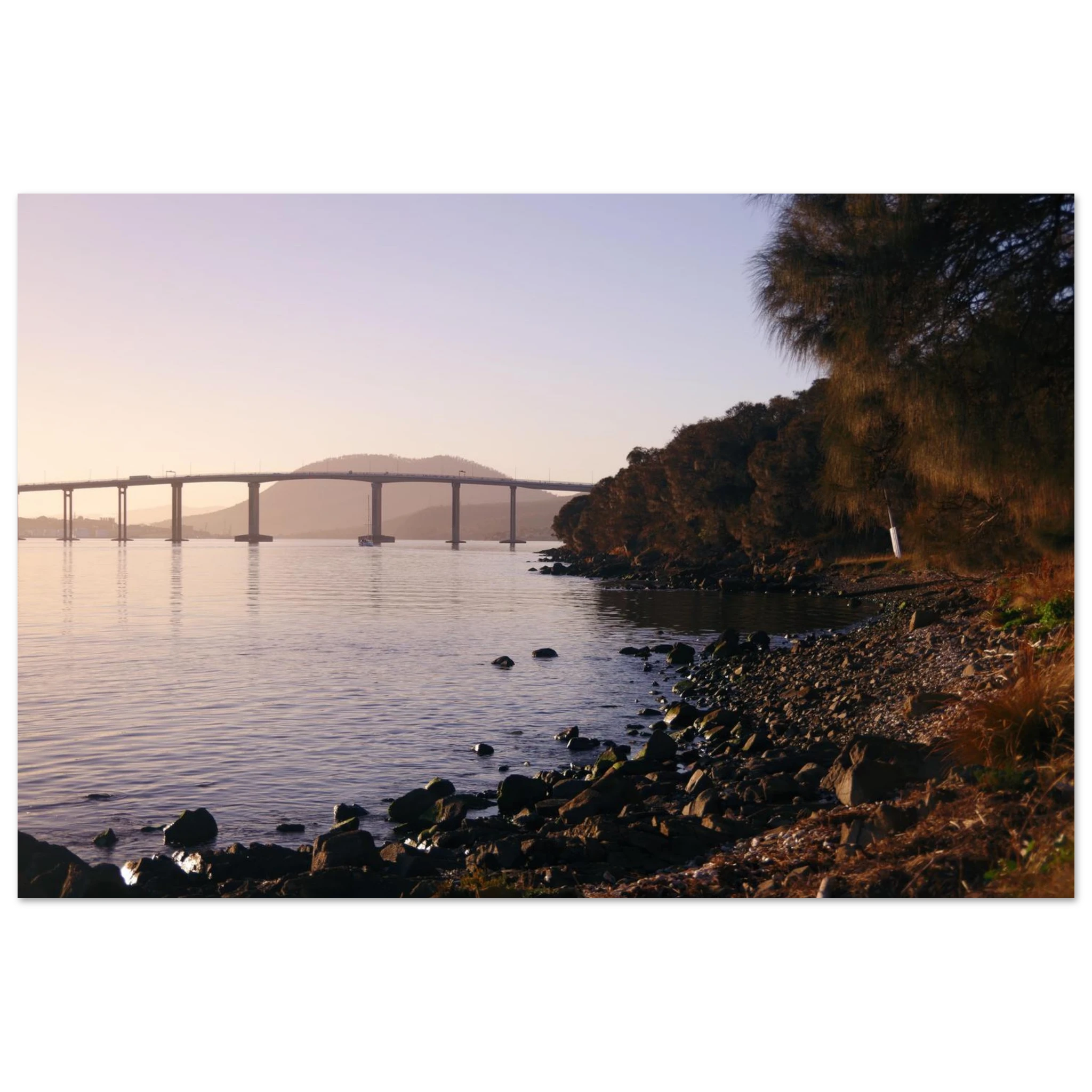 96589e7b-a636-40d1-a815-0a4b37d87c6b