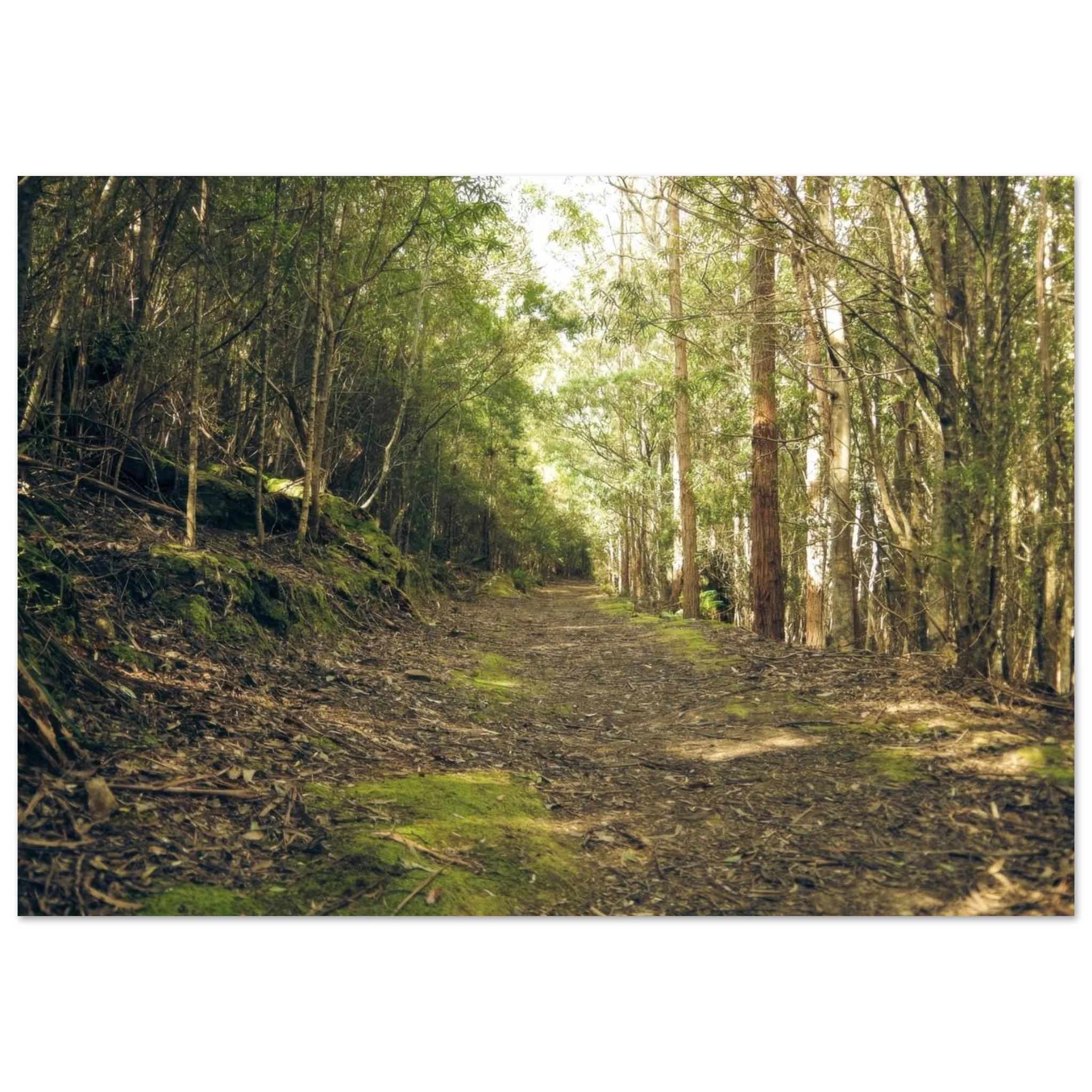 9b4d9e5e-9642-446e-806b-2a43a289d0f8