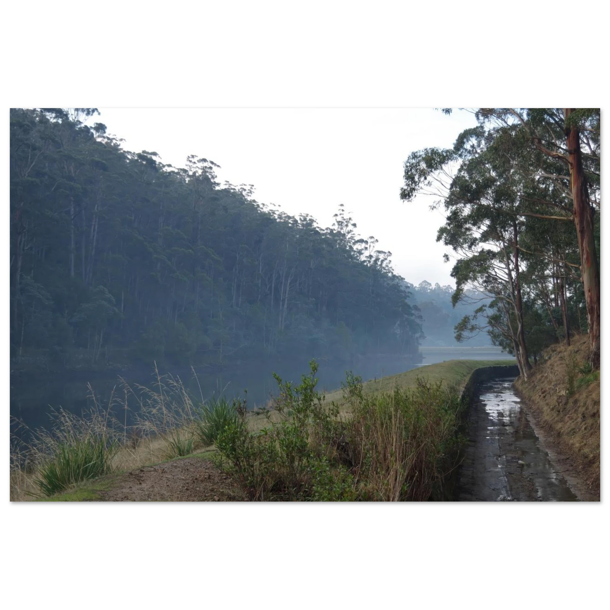 9dd9436a-6d3b-4f97-8616-b535daaa4fd1