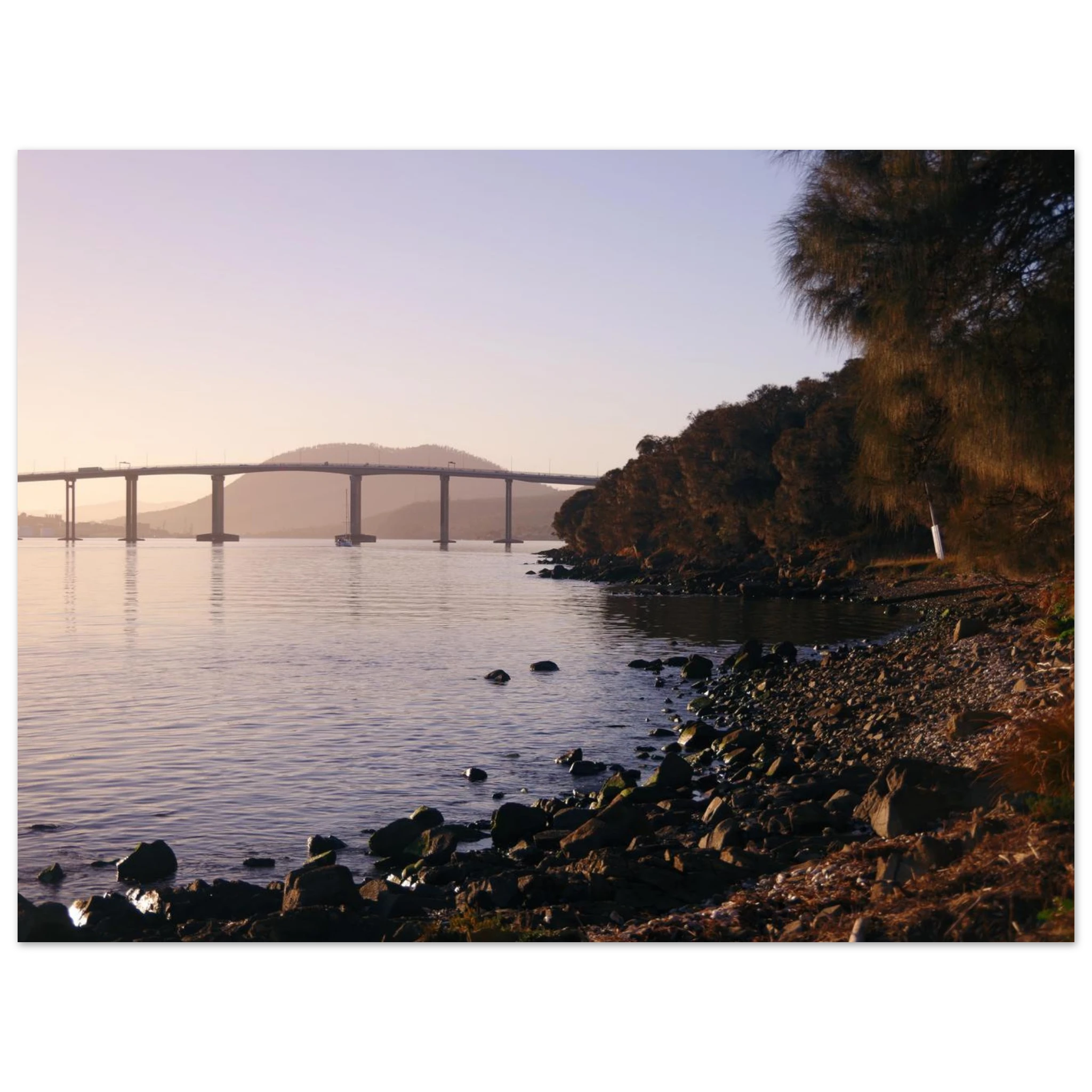 9e621253-130d-457f-a91a-65e245cd0f39