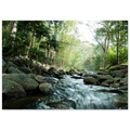 a0f36754-cf24-4cc7-bbe0-c7a2da89fde1