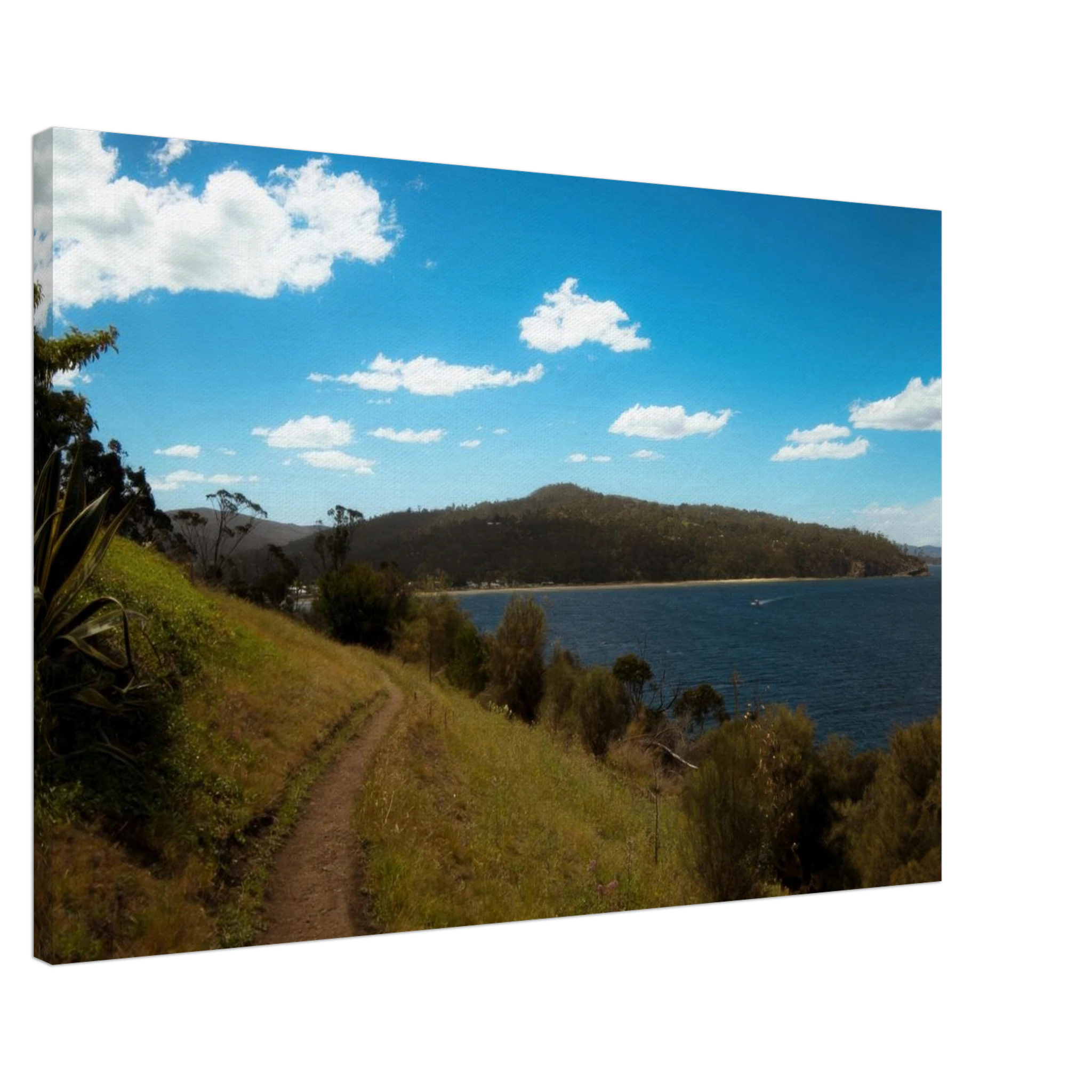 a3e3cc4b-08ab-42a6-8f35-67102d53f4c1