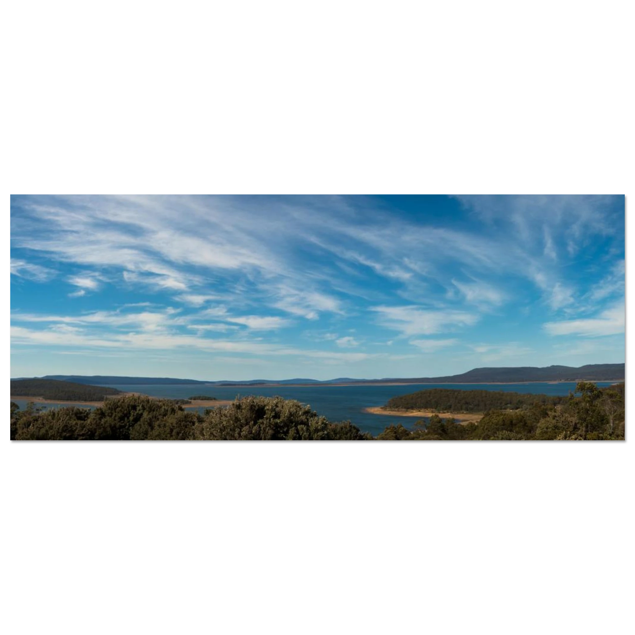 a4e8cb93-72f4-4a03-a54a-5c711da177da