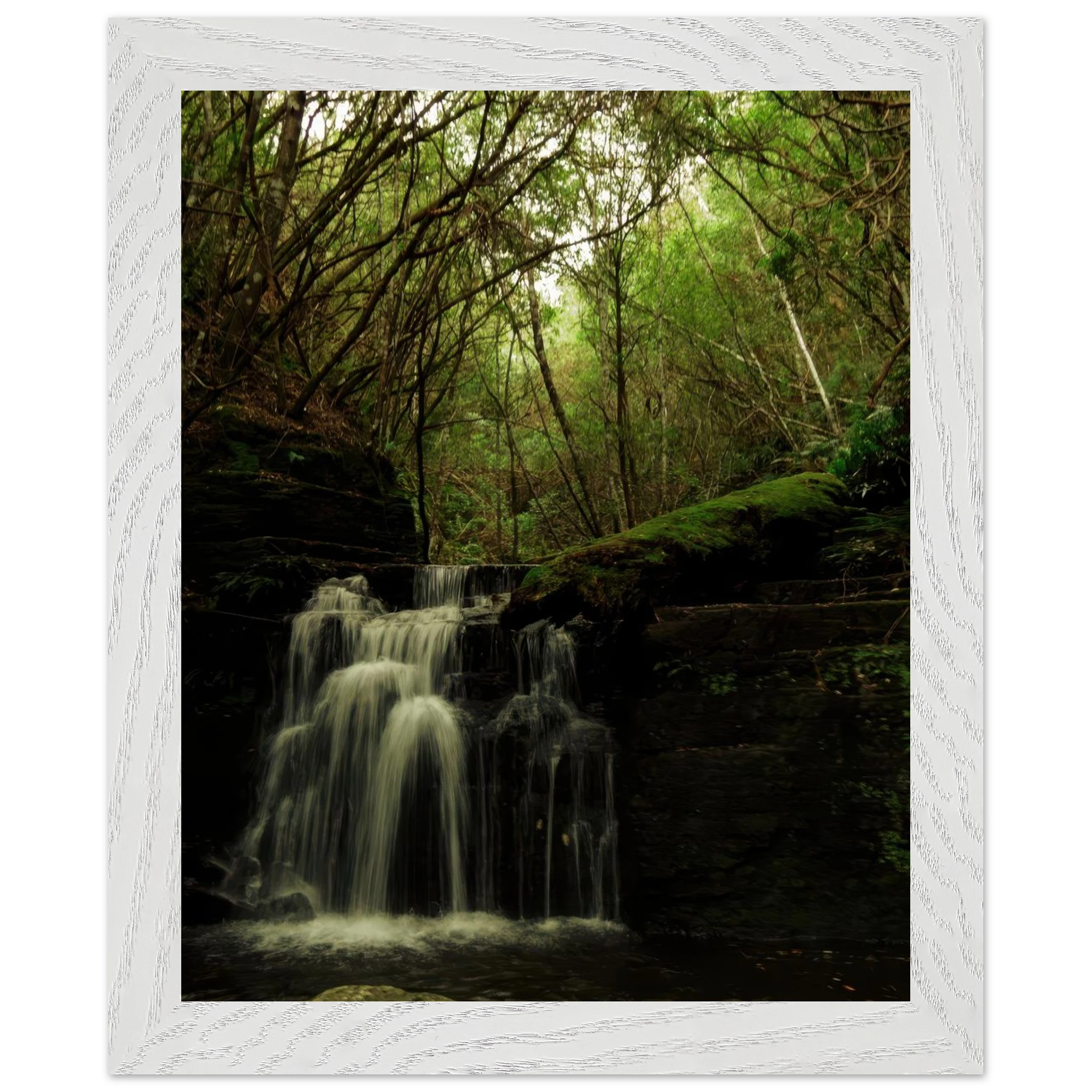 a76d7efa-9c19-4609-96a1-9a0246ff5466