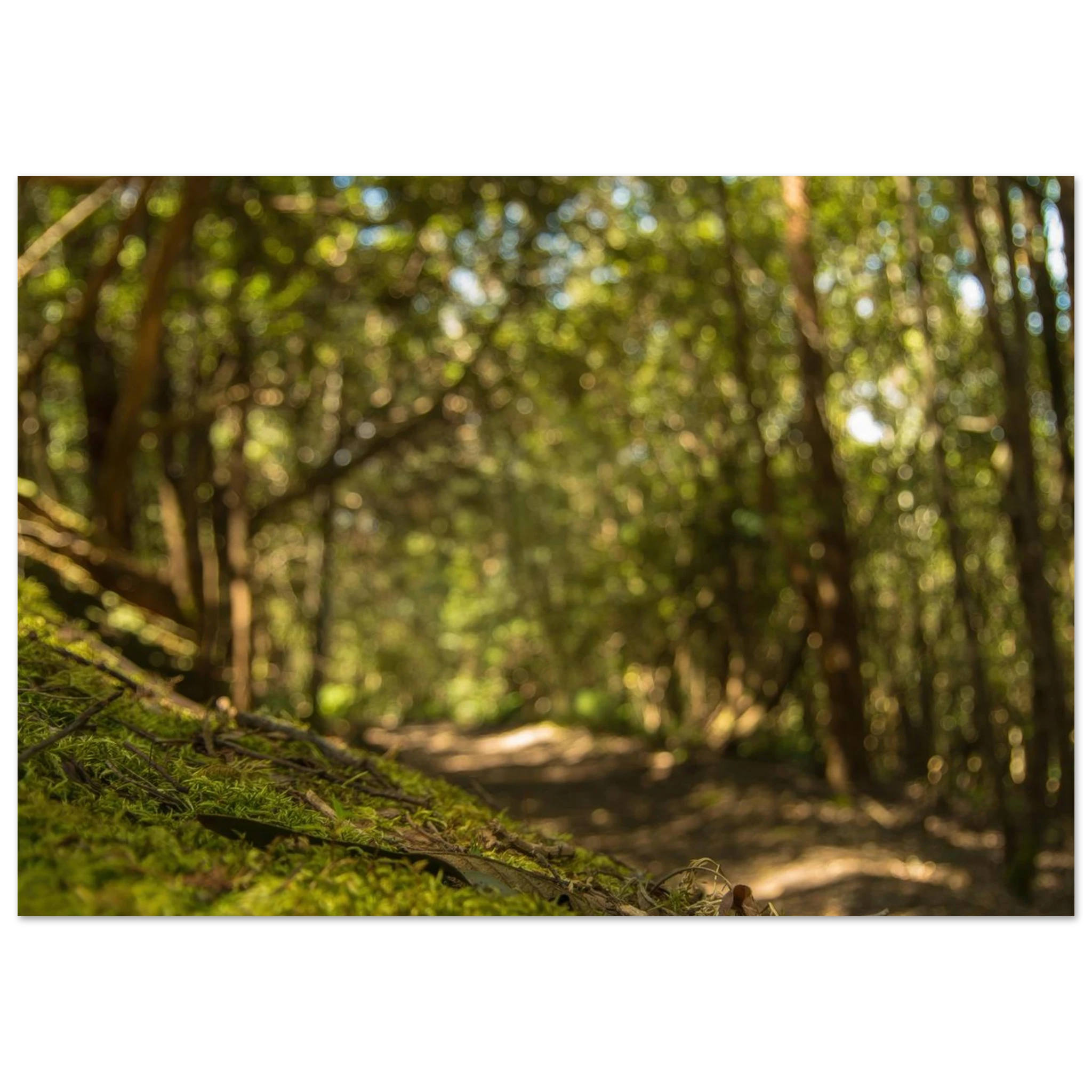 ac3a716f-8a50-4f12-a014-59888beebaeb