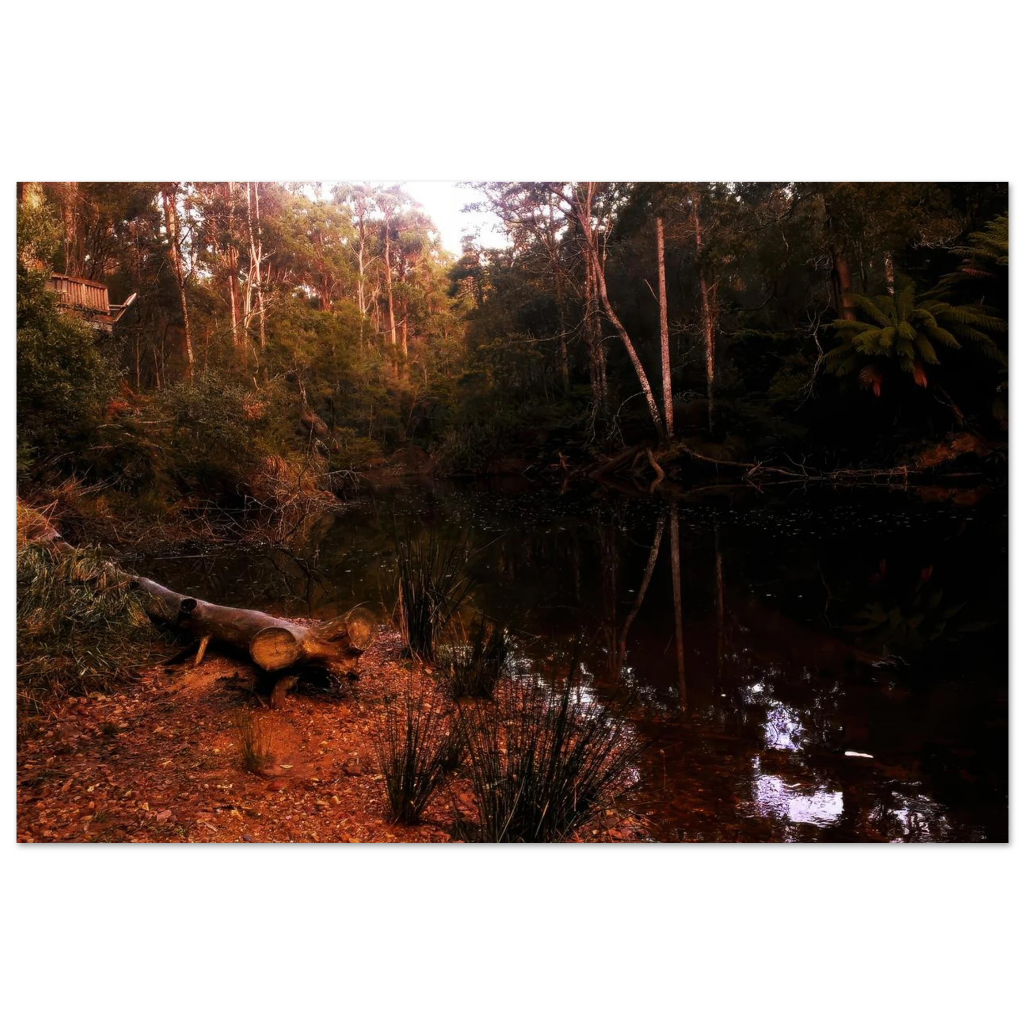 ac95adc8-334e-4947-9bae-8f9c60752844