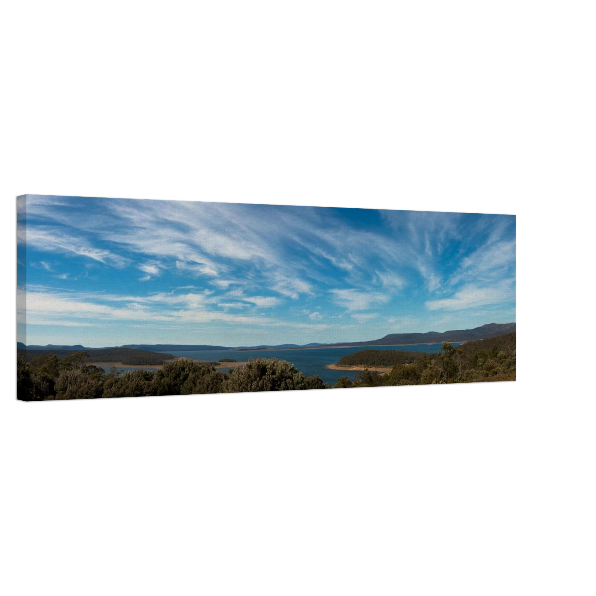 ae783a16-e065-476c-9513-28c21f9e711a