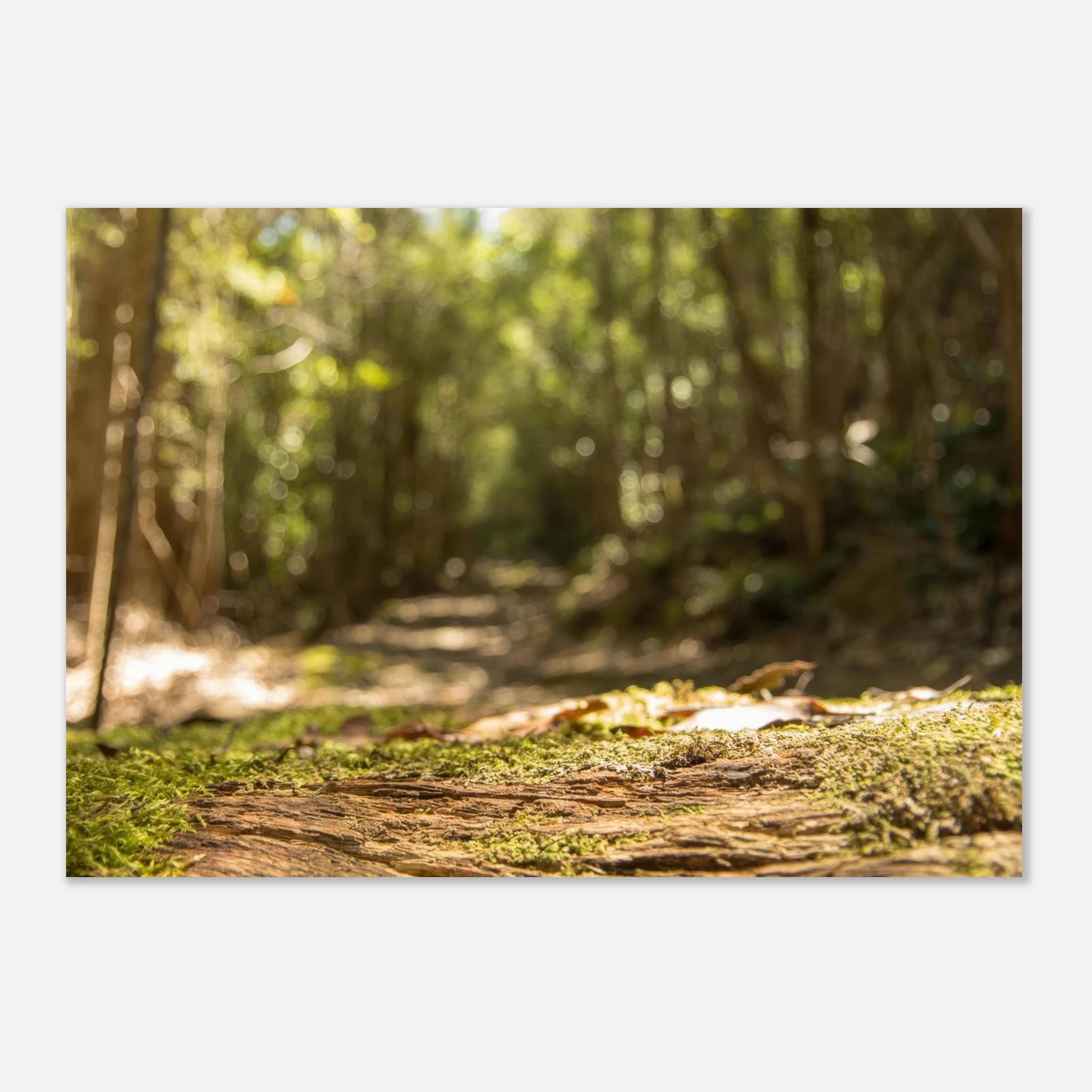 af13b282-8316-4f38-9496-5af35e337908