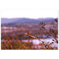 affda779-ba5d-4d49-bb11-988fa287bc27
