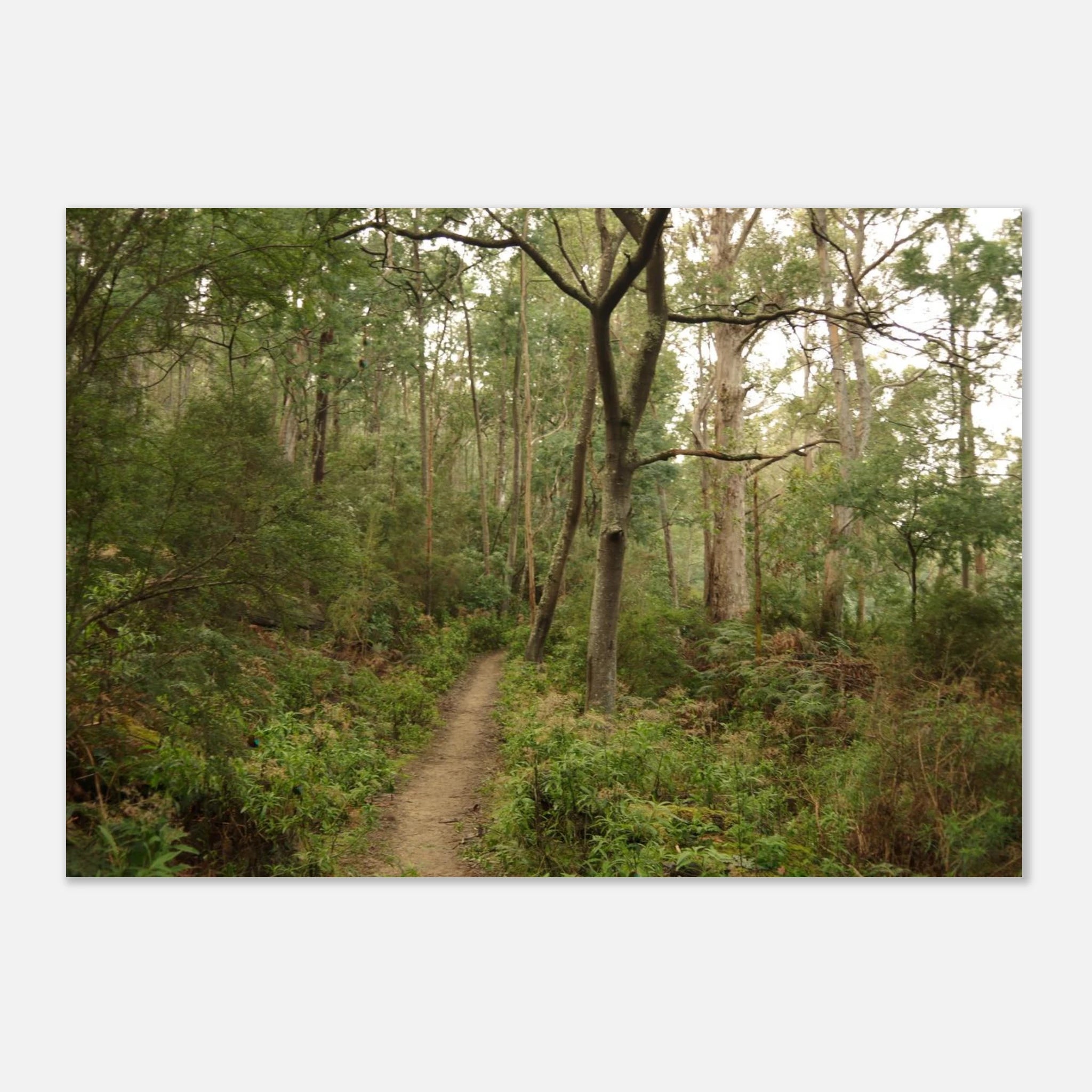 b3948275-a62b-4b01-97ca-821d0dabf2c9