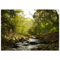 b4b08629-2ce0-495a-a39d-2f0b2b814d77