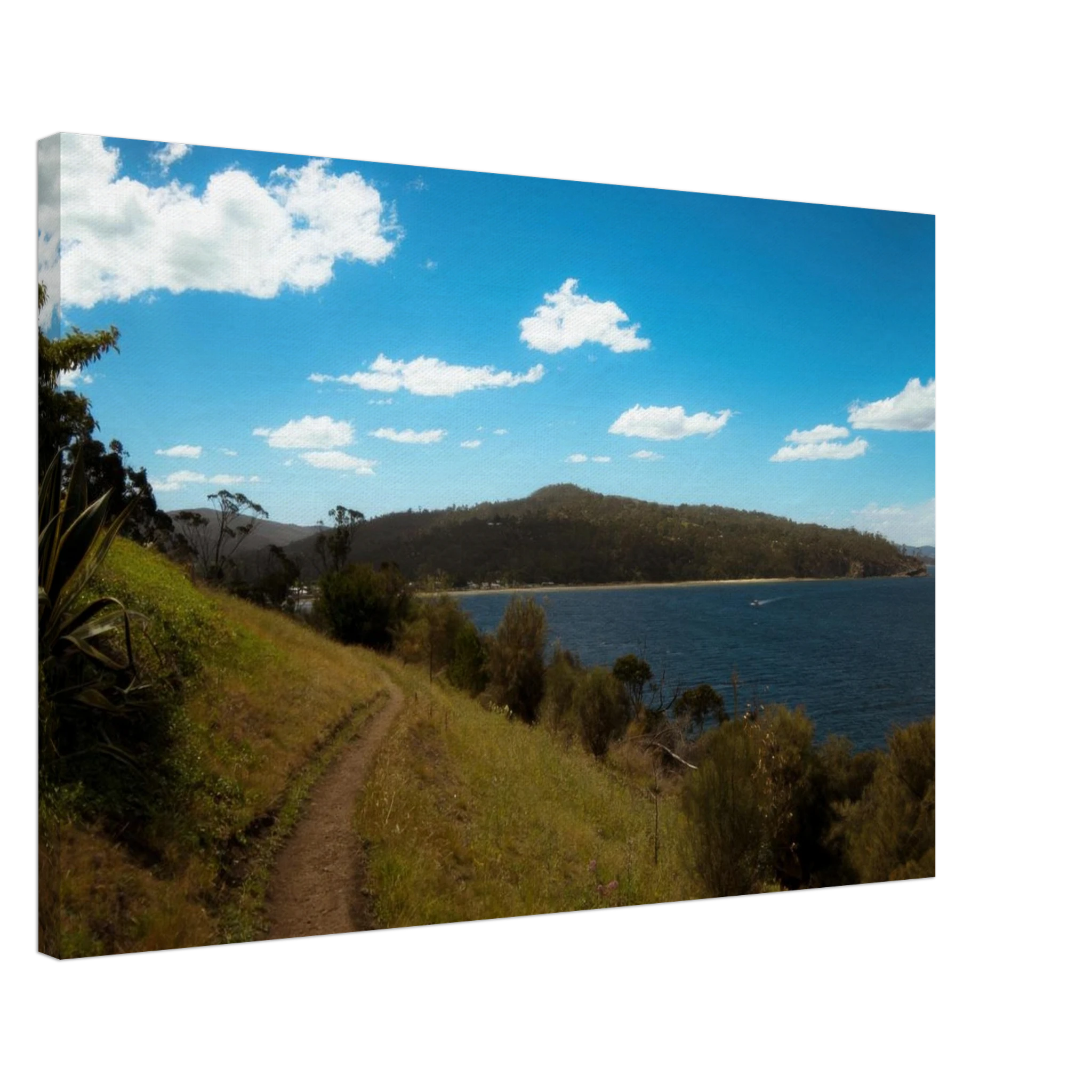 b5ca06c2-56de-4443-98c2-71f7805c27d5