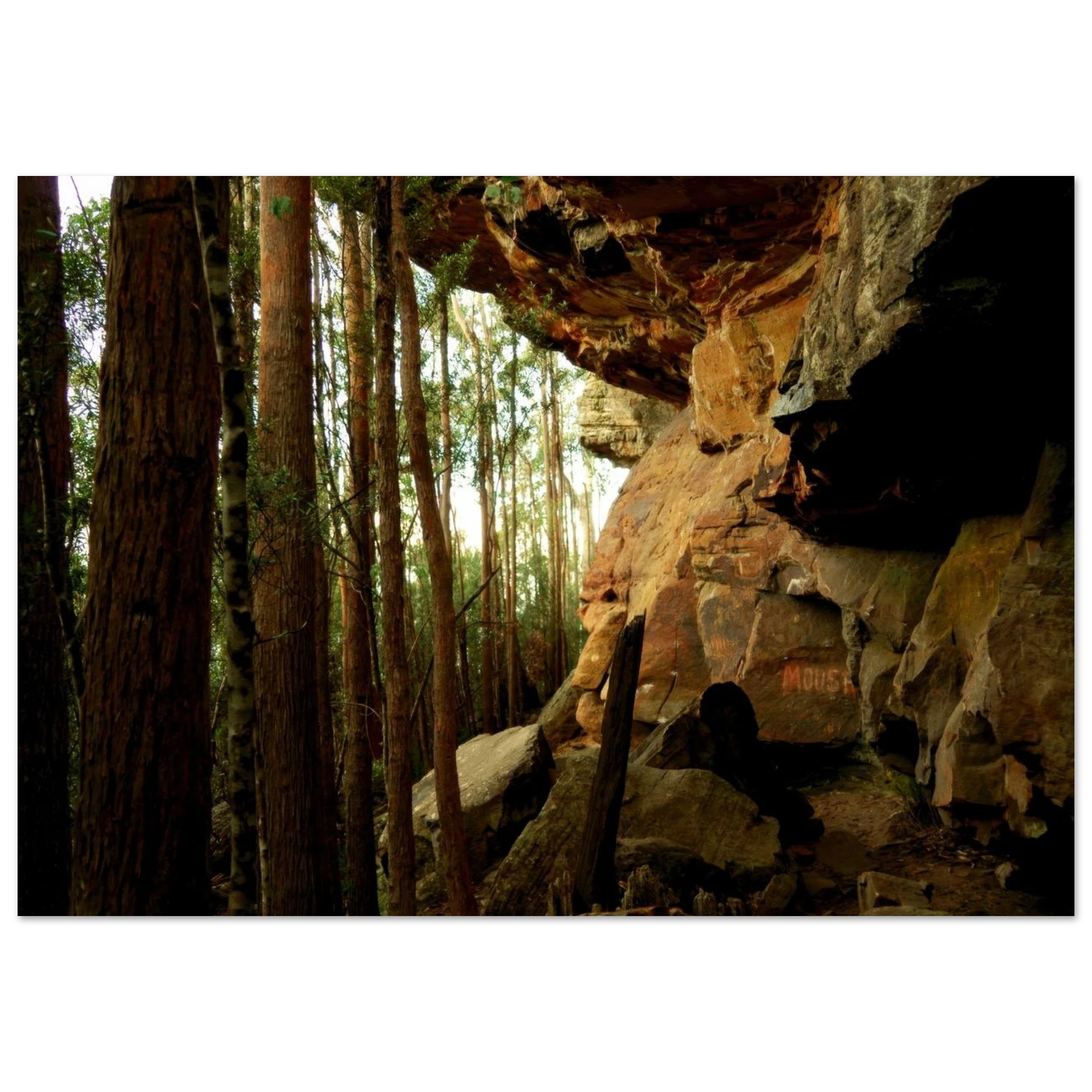 b913fb2f-60e8-4342-b03d-5f7aaa571c0b