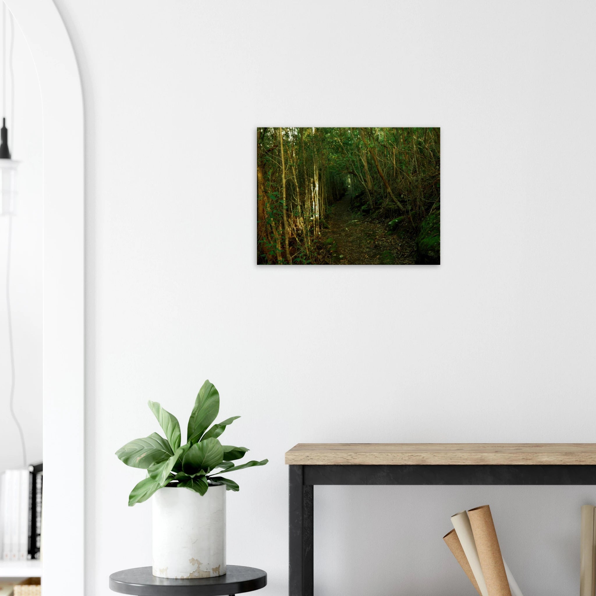 ba20d6a9-cc4b-4ce3-9460-2e2793859986