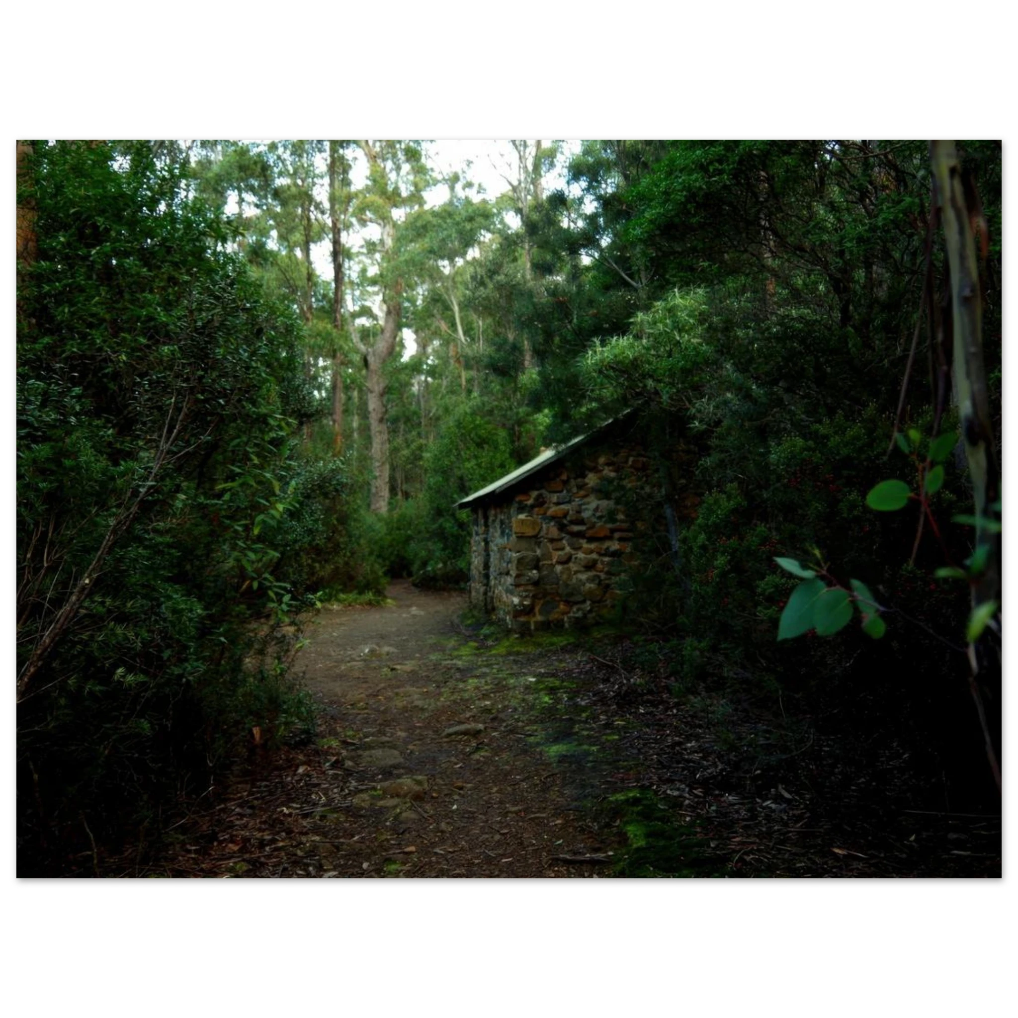 badda480-e3e4-4723-8534-96ed9424c792